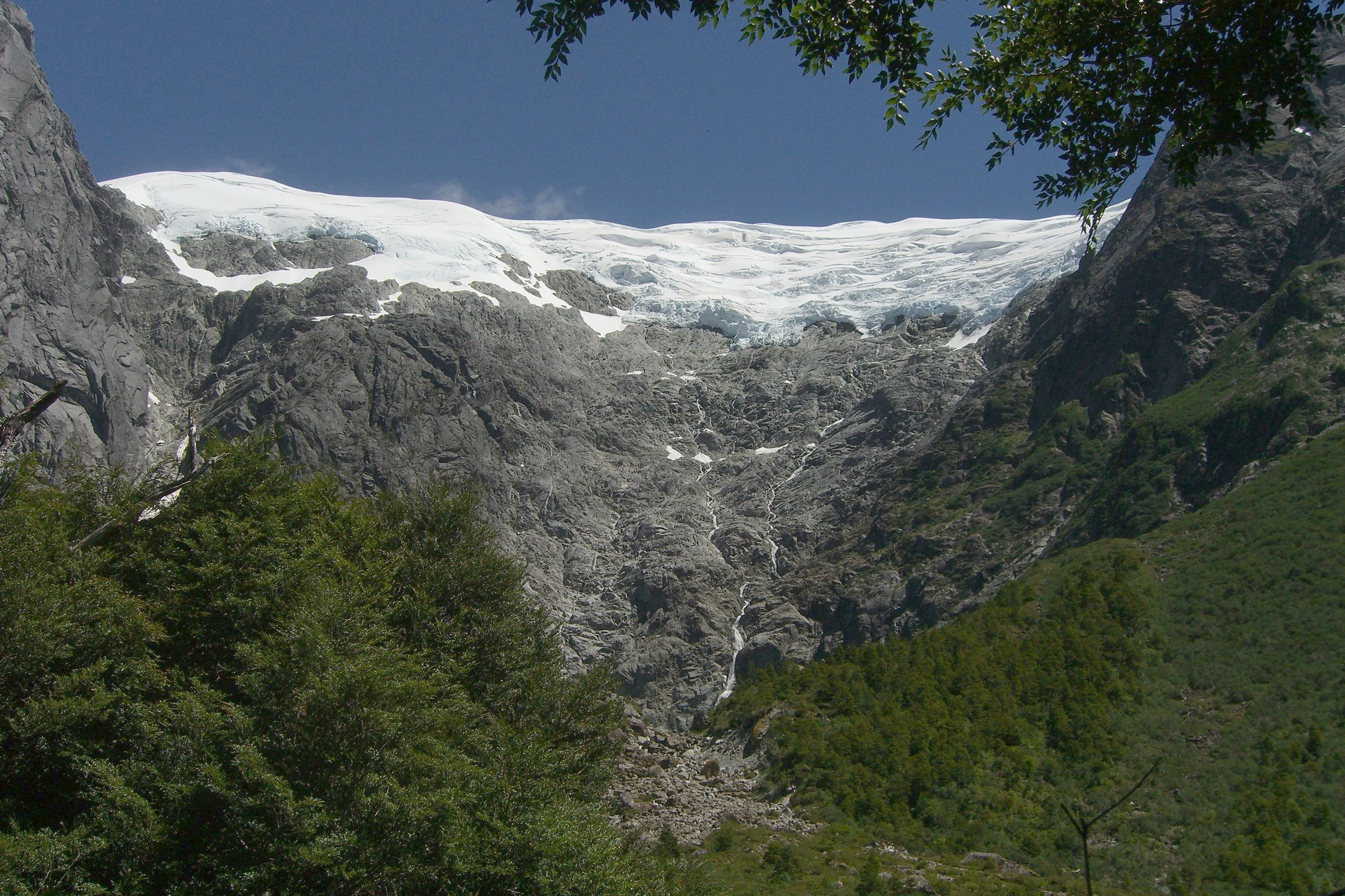Glacier descending between rocky mountain cliffs with dense green forest in the foreground and clear blue sky