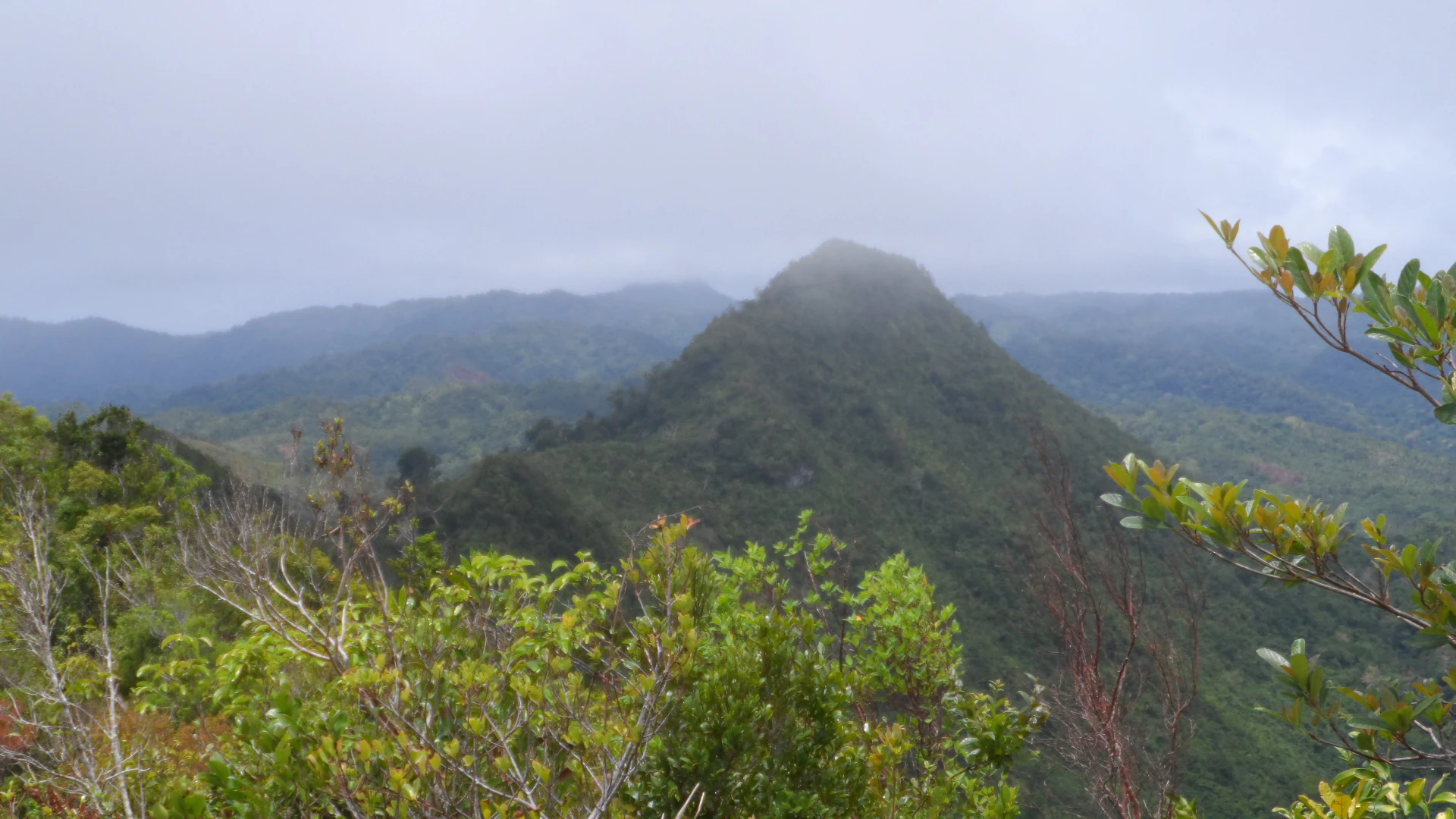 A wide shot of mist-covered, green, forested mountains under an overcast sky.