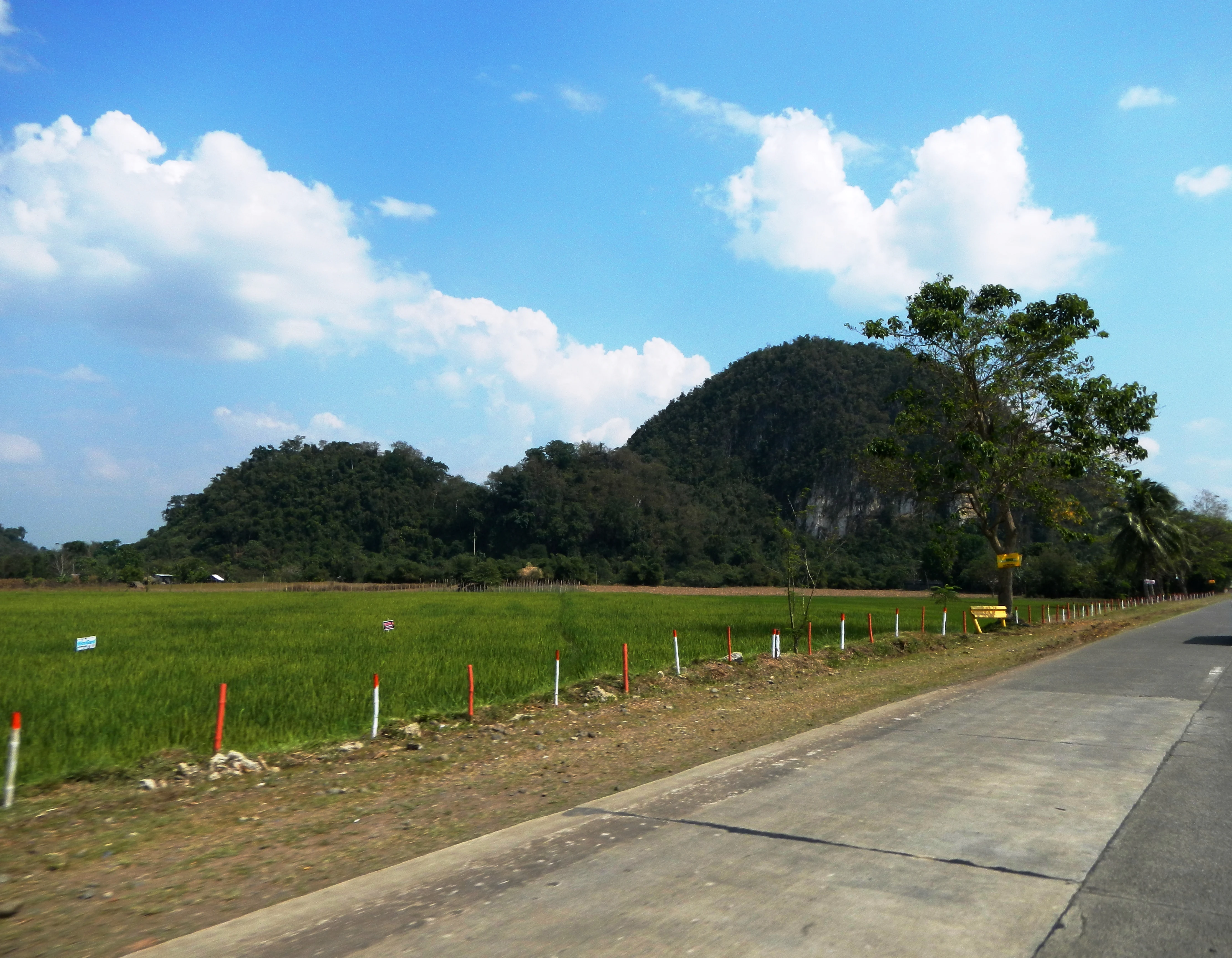 A wide, eye level shot of a rounded, forested limestone hill rising above a green field, next to a paved road.