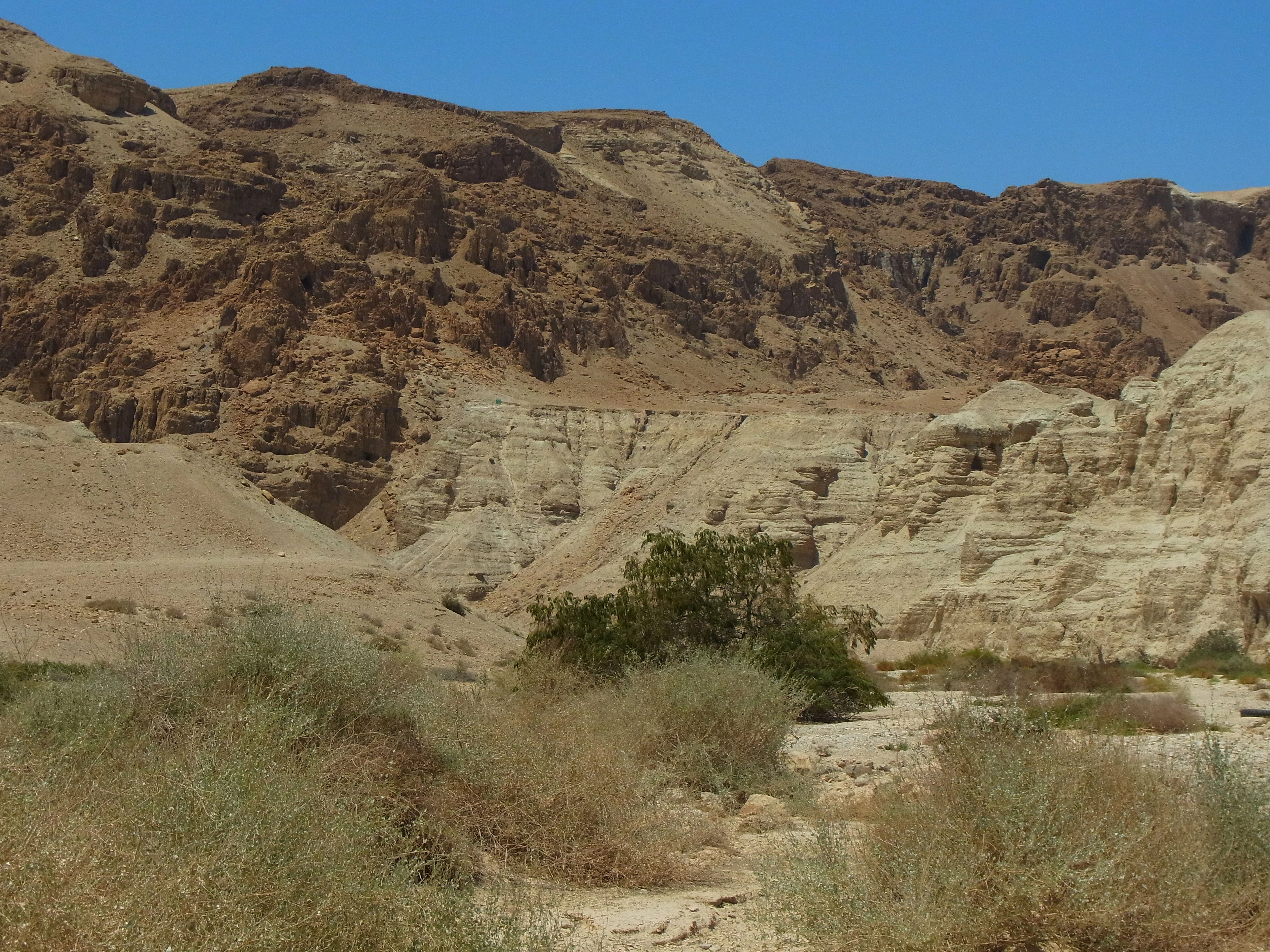 Rocky desert terrain with layered cliffs and dry vegetation under clear blue sky