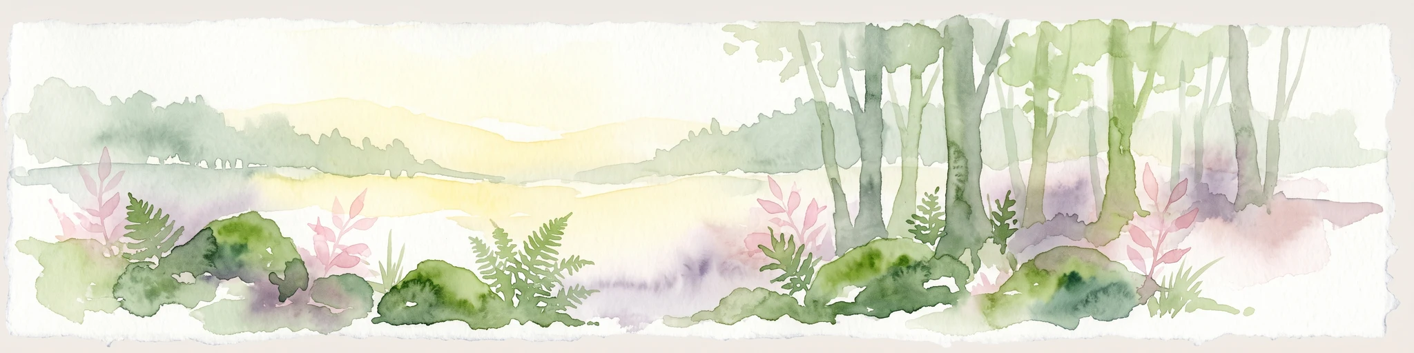 A watercolor illustration of a forest edge with trees, mossy rocks, and ferns, featuring a soft, bright, and airy color palette.