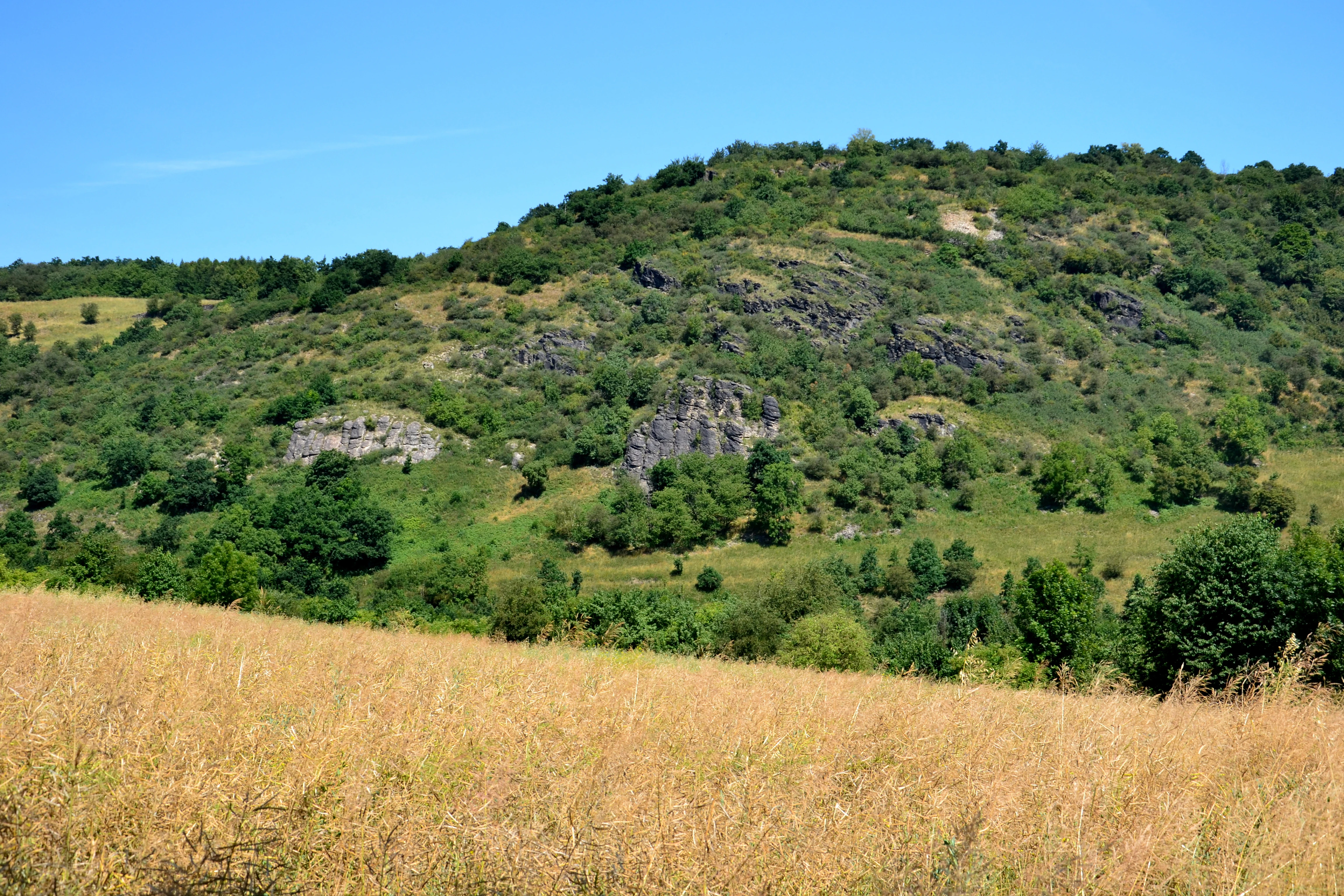 A wide view of a grassy hill featuring rocky outcrops and patches of forest, with a golden field in the foreground under a clear blue sky.