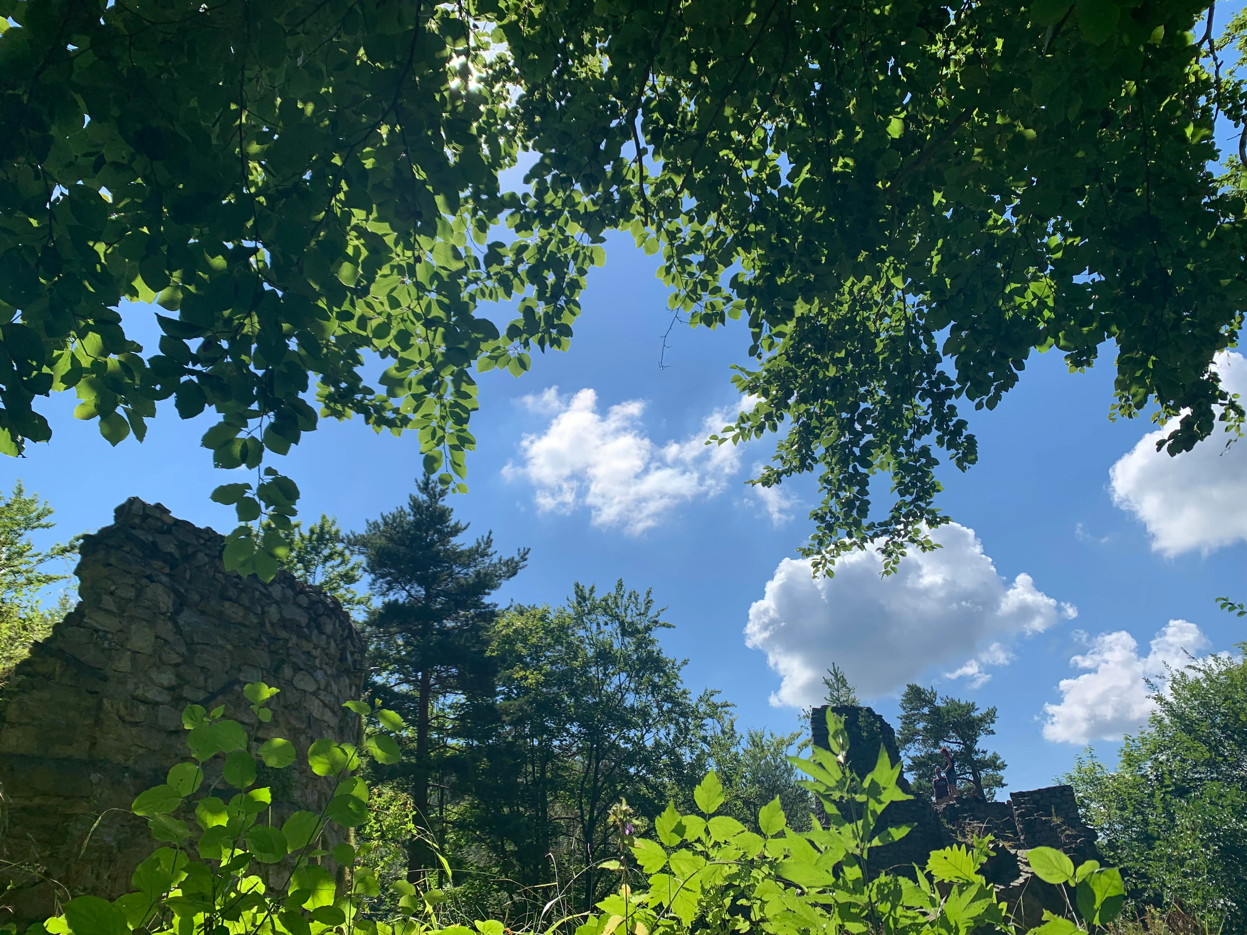 Ancient stone wall ruins of Pustý zámek emerging from a dense forest, framed by lush green leaves against a bright blue sky with white clouds.
