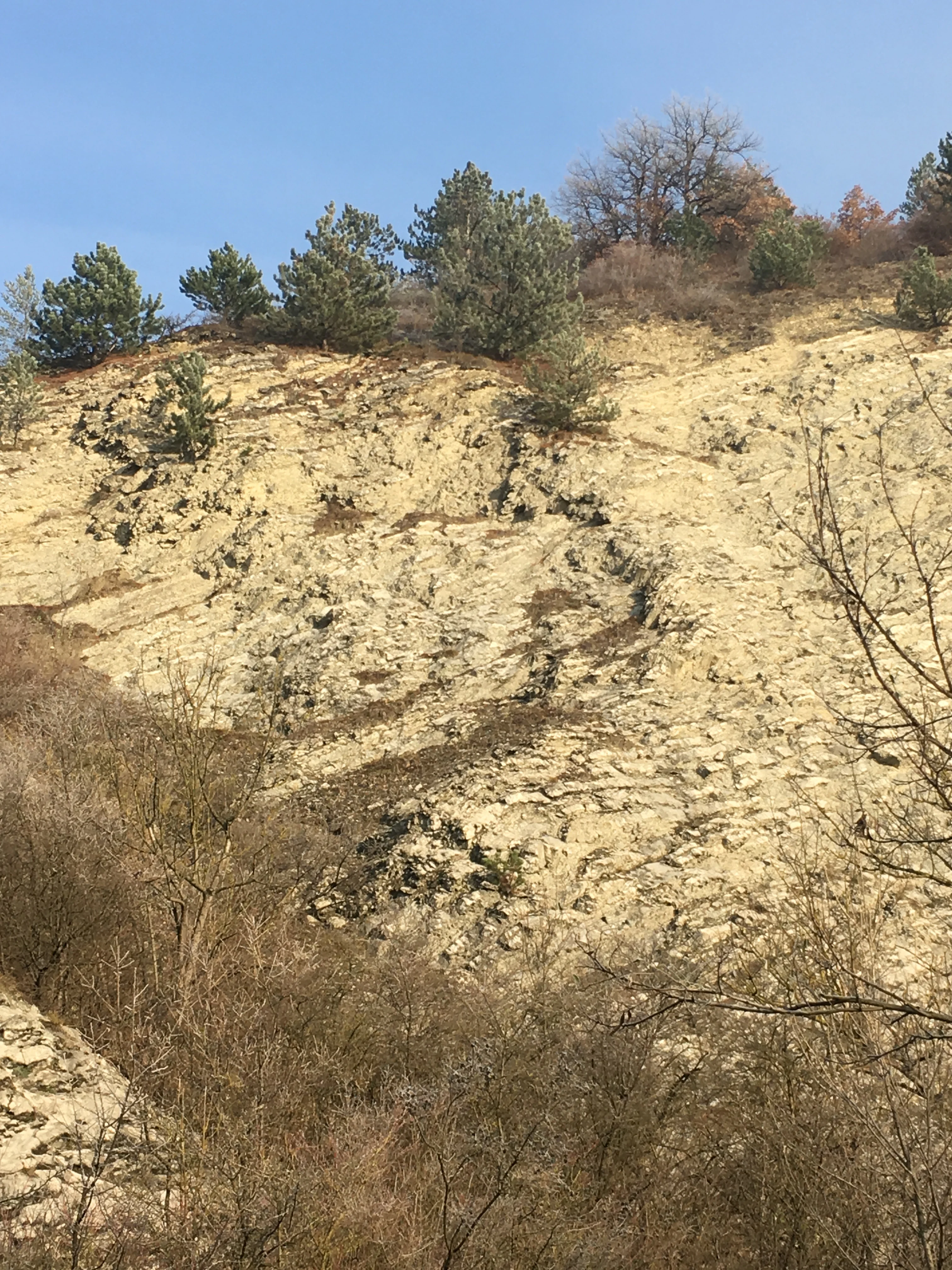 A steep, light-colored rocky hillside with patches of dry vegetation and small evergreen trees, under a clear blue sky.