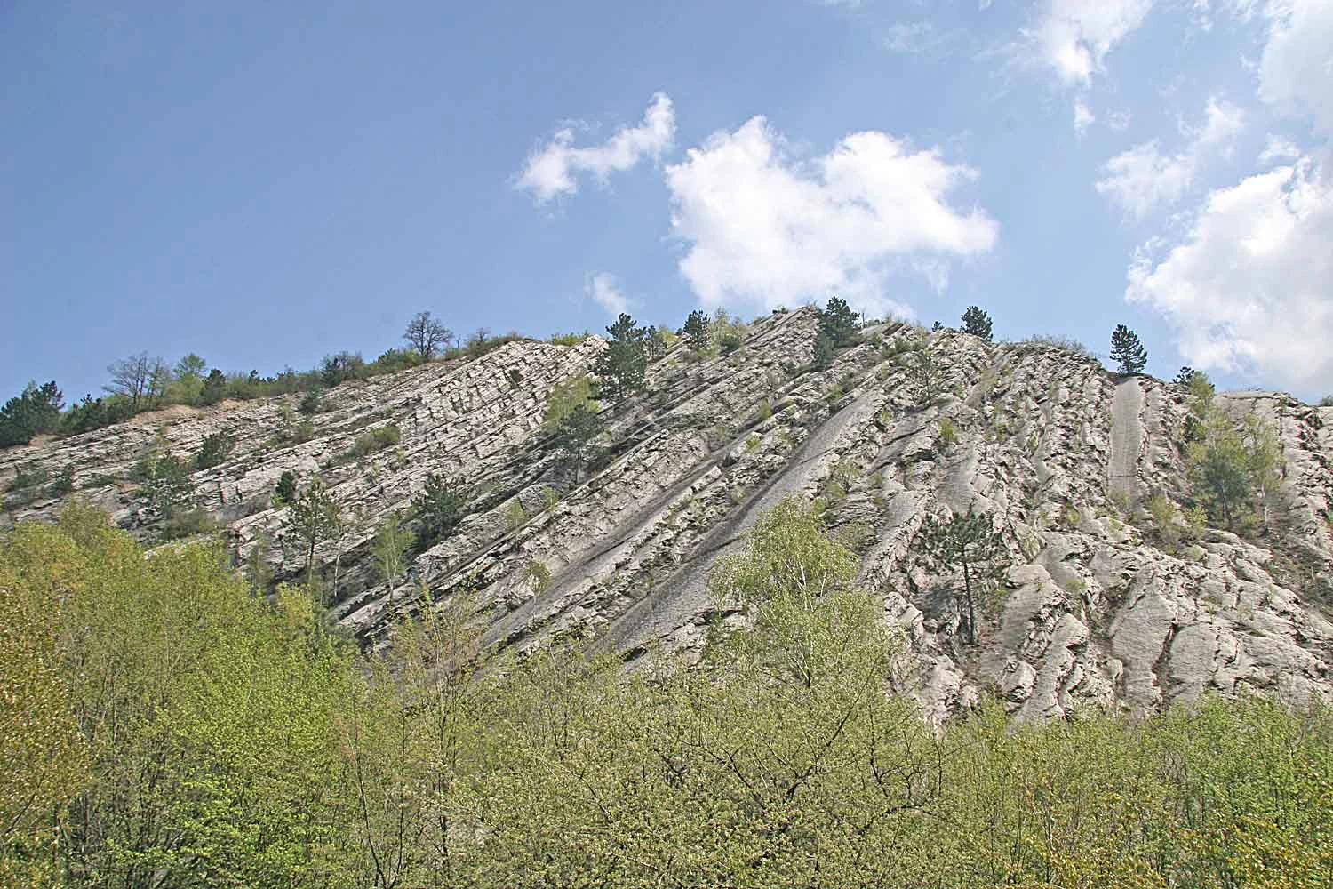 A steep, light-colored rocky hillside featuring distinct slanted geological strata, partially covered with sparse trees and bushes under a clear blue sky.