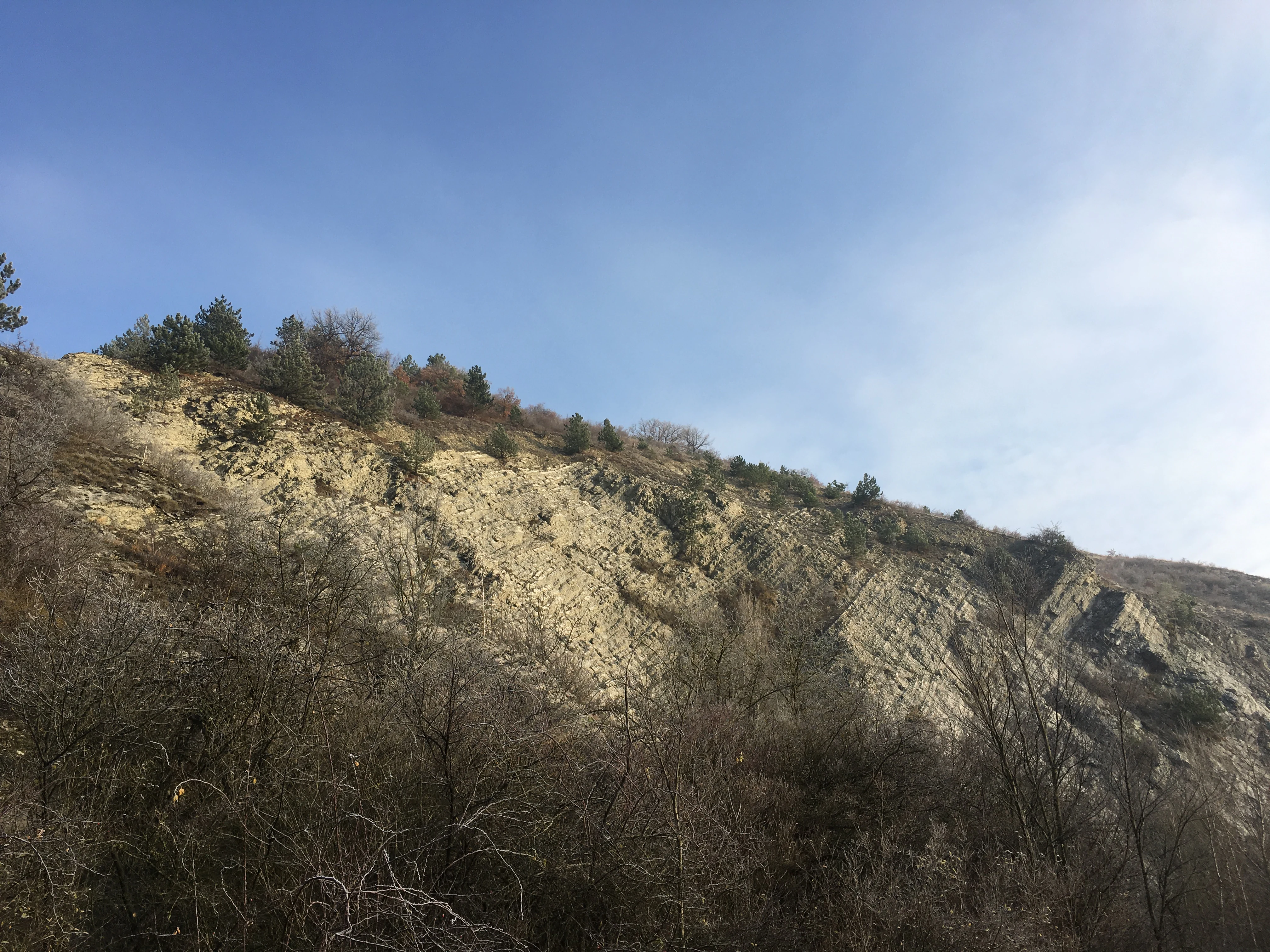 A sloped limestone rock formation with sparse vegetation and scattered trees, rising against a clear blue sky.