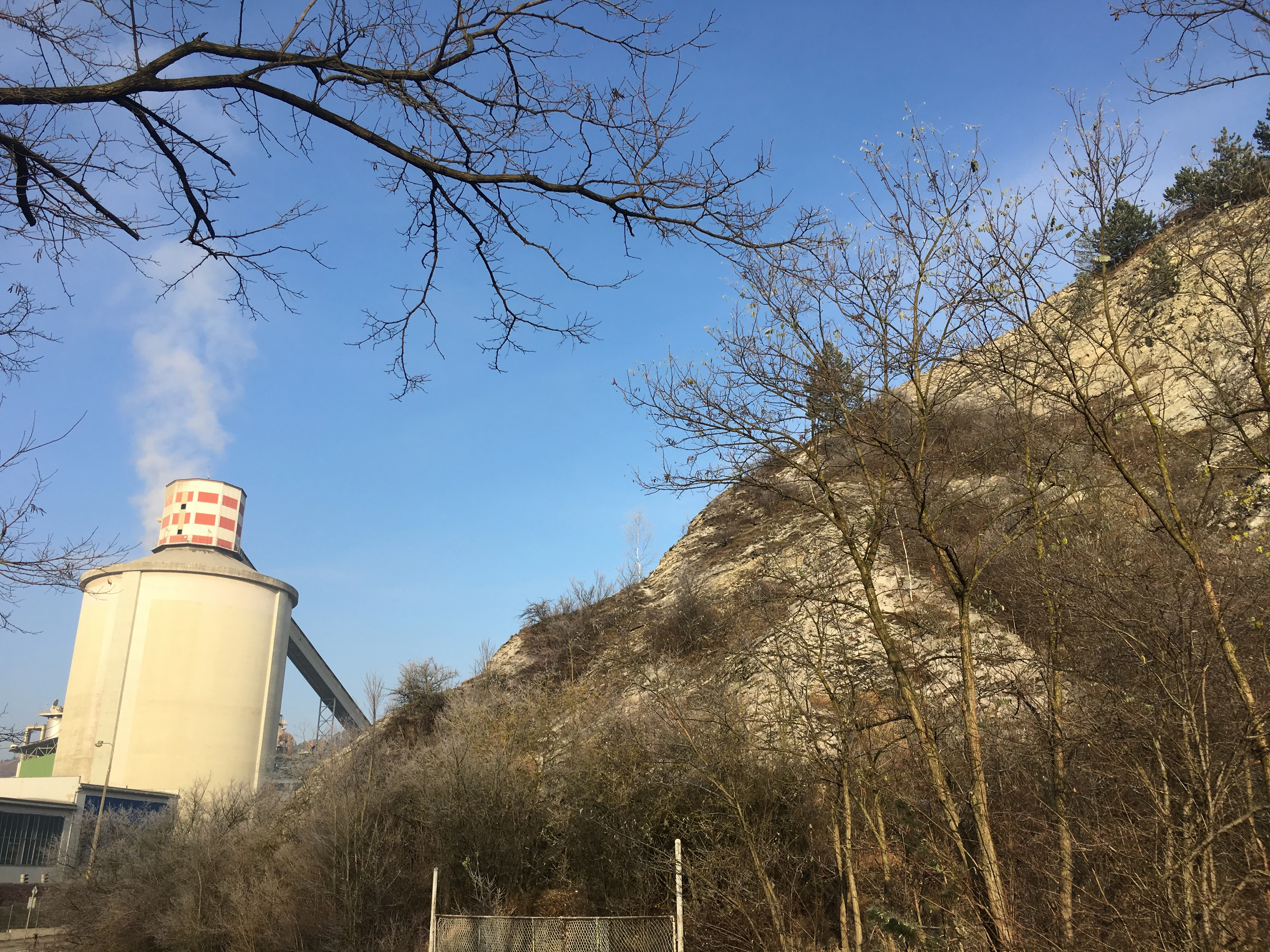 A pale, rocky cliff face rises on the right, contrasted against a large, cylindrical industrial cement silo emitting a plume of steam on the left, viewed through bare tree branches.