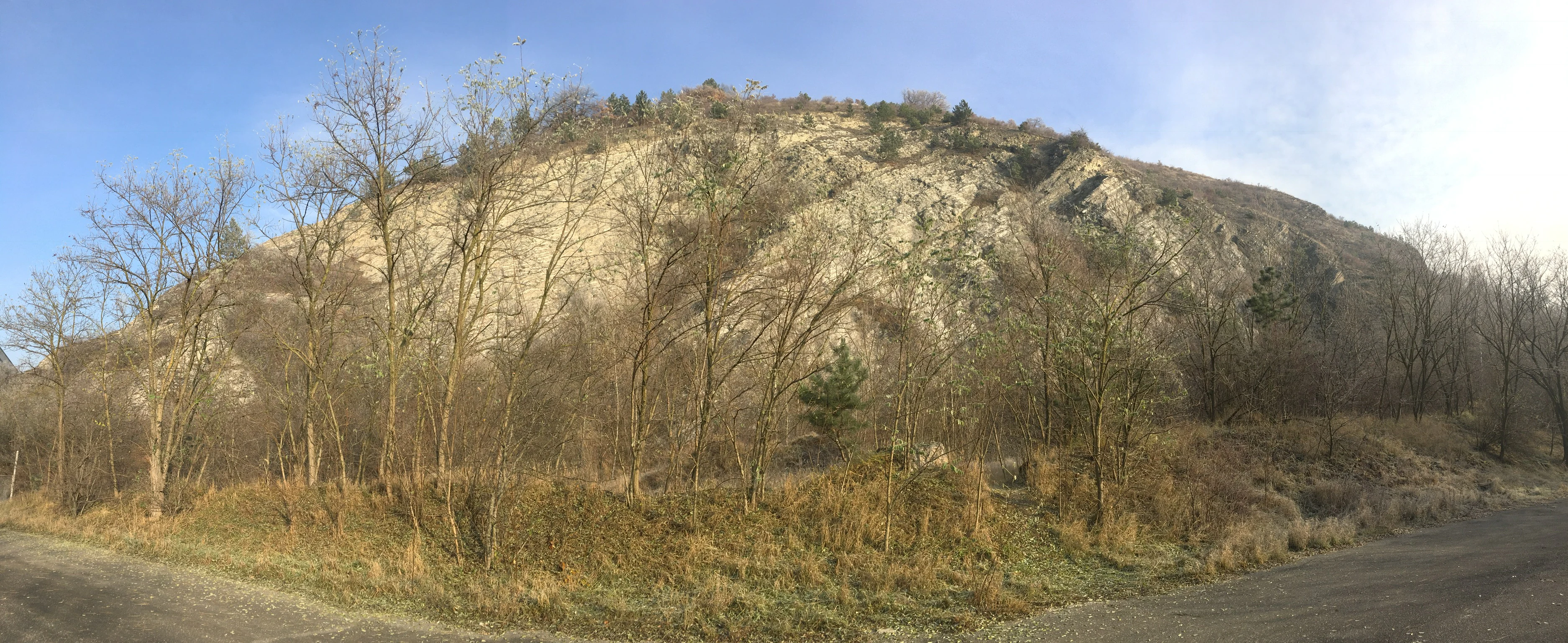A wide panoramic photograph showing a steep, light-colored rocky cliff face covered with sparse trees and brush in the foreground.