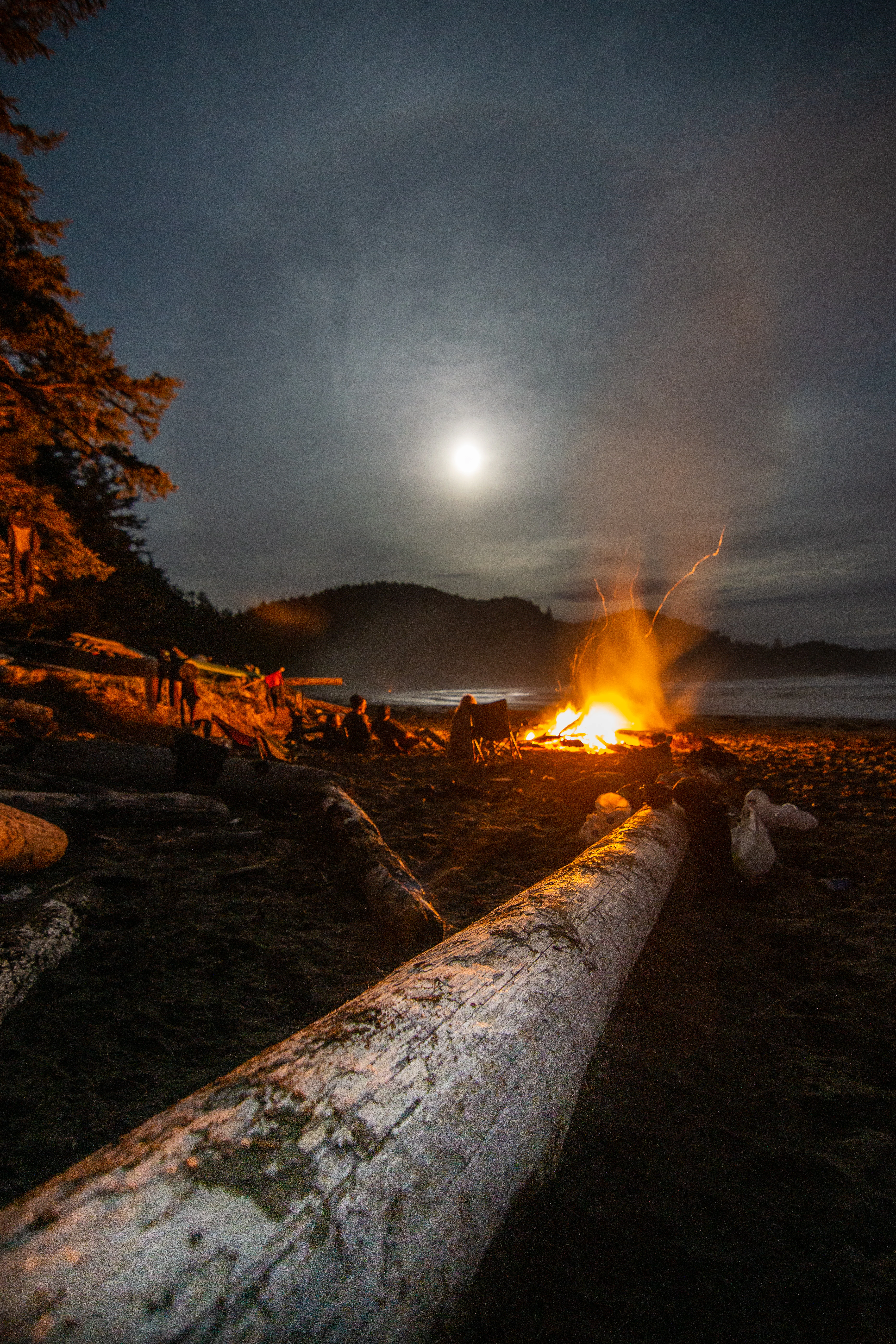 A night time scene at a beach showing a large campfire burning on the sand, with people sitting around it and a large piece of driftwood in the foreground under a moonlit sky.