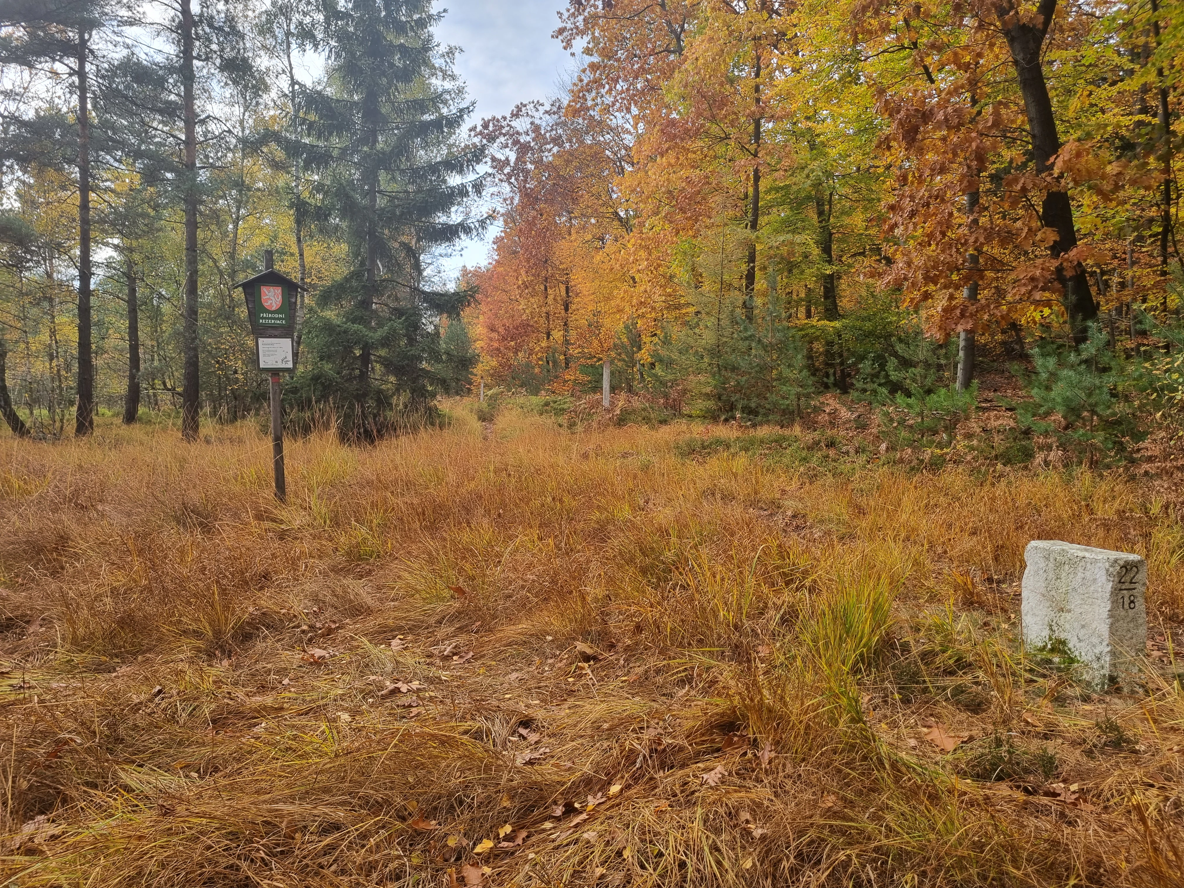 A nature reserve sign attached to a wooden post and a small stone pillar in a grassy meadow surrounded by an autumn forest.