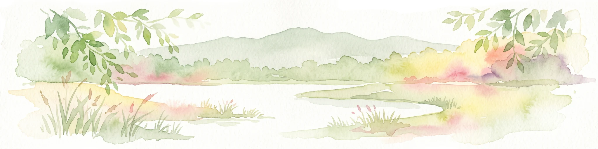 A soft watercolor illustration depicting a calm wetland scene with distant rolling hills, foreground reeds, and overhanging tree branches.
