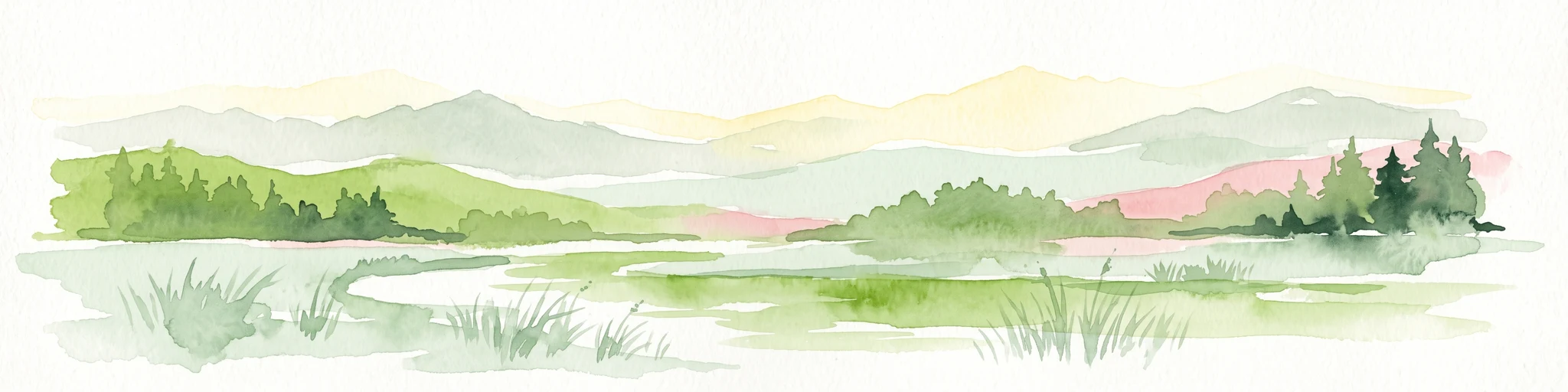 A horizontal watercolor painting showing a green wetland area in the foreground with hills and coniferous trees in the background.