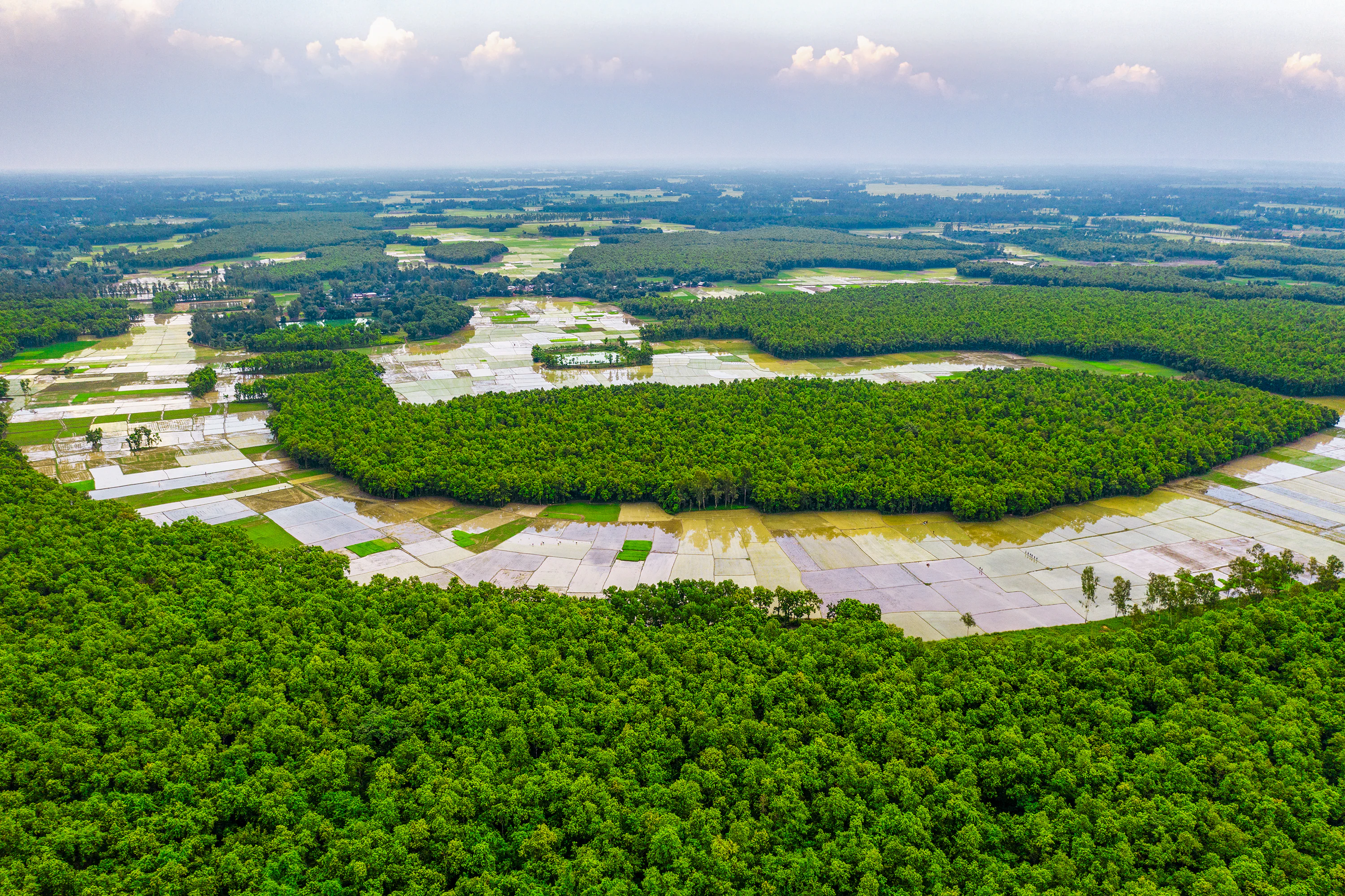 Vista aérea de un gran embalse de agua rodeado de densos bosques verdes y campos agrícolas bajo un cielo parcialmente nublado.