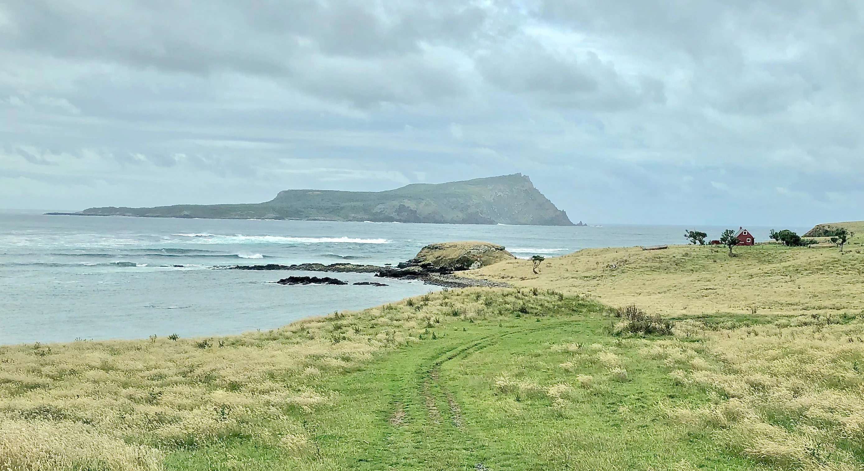 A coastal landscape view featuring a grassy foreground sloping down toward the ocean, with Rangatira Island visible as a large, flat-topped landmass in the distance under a cloudy sky.