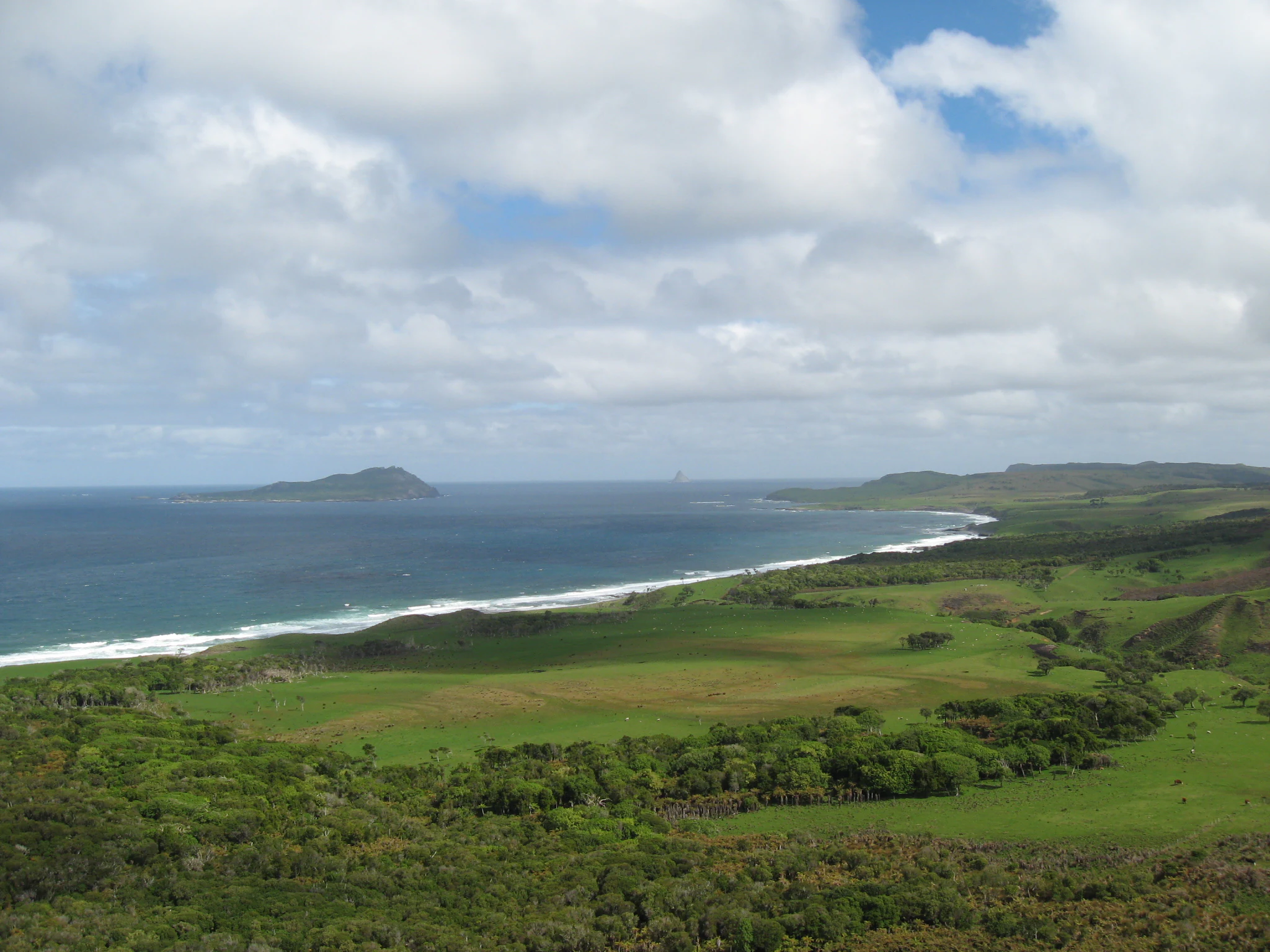 A high-angle view over a green, grassy coastline with shrubbery, looking out towards the ocean where Rangatira Island is visible in the distance.