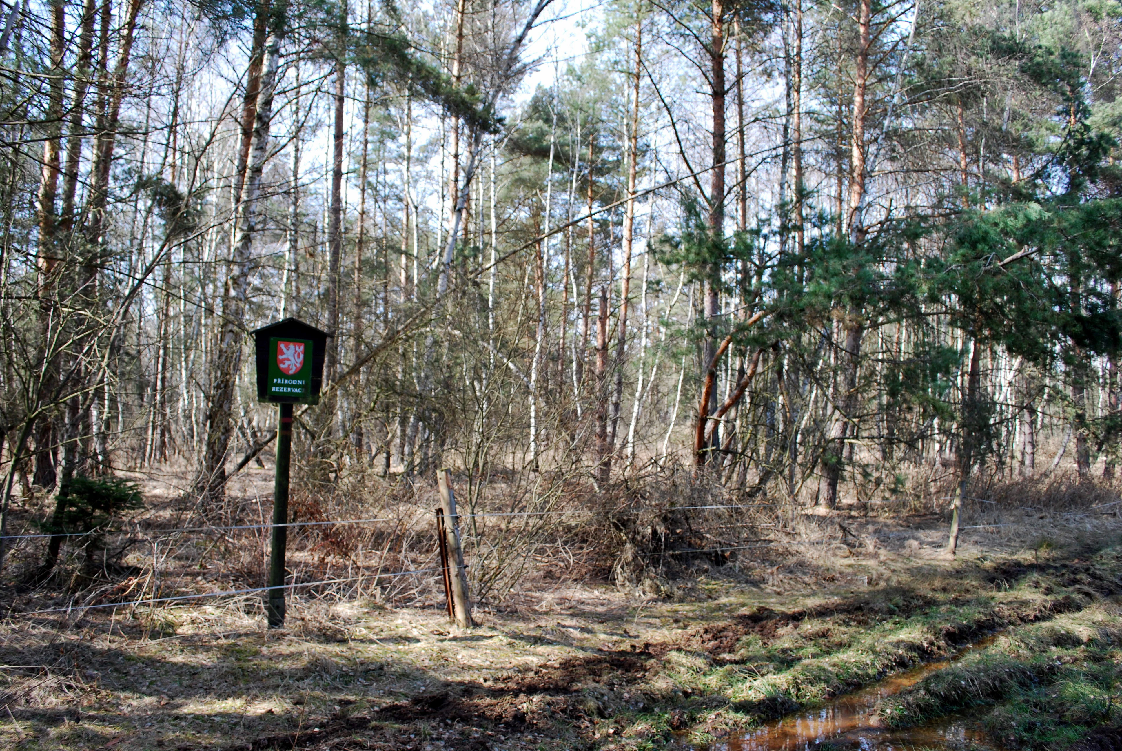 A square sign with a Czech national emblem on a post in a forest, marking a protected area boundary.