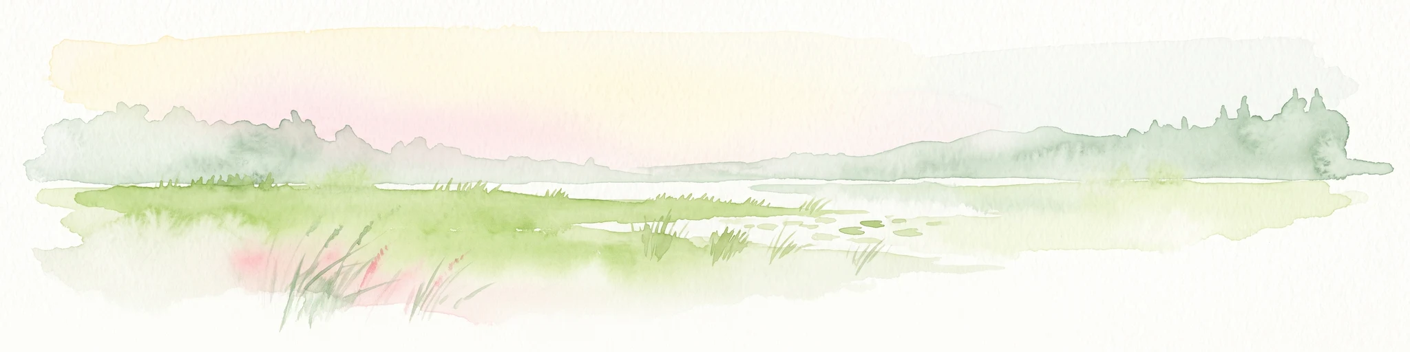 A soft watercolor illustration of a marshy landscape featuring light green grassy plains, patches of water, and a hazy treeline in the distance.