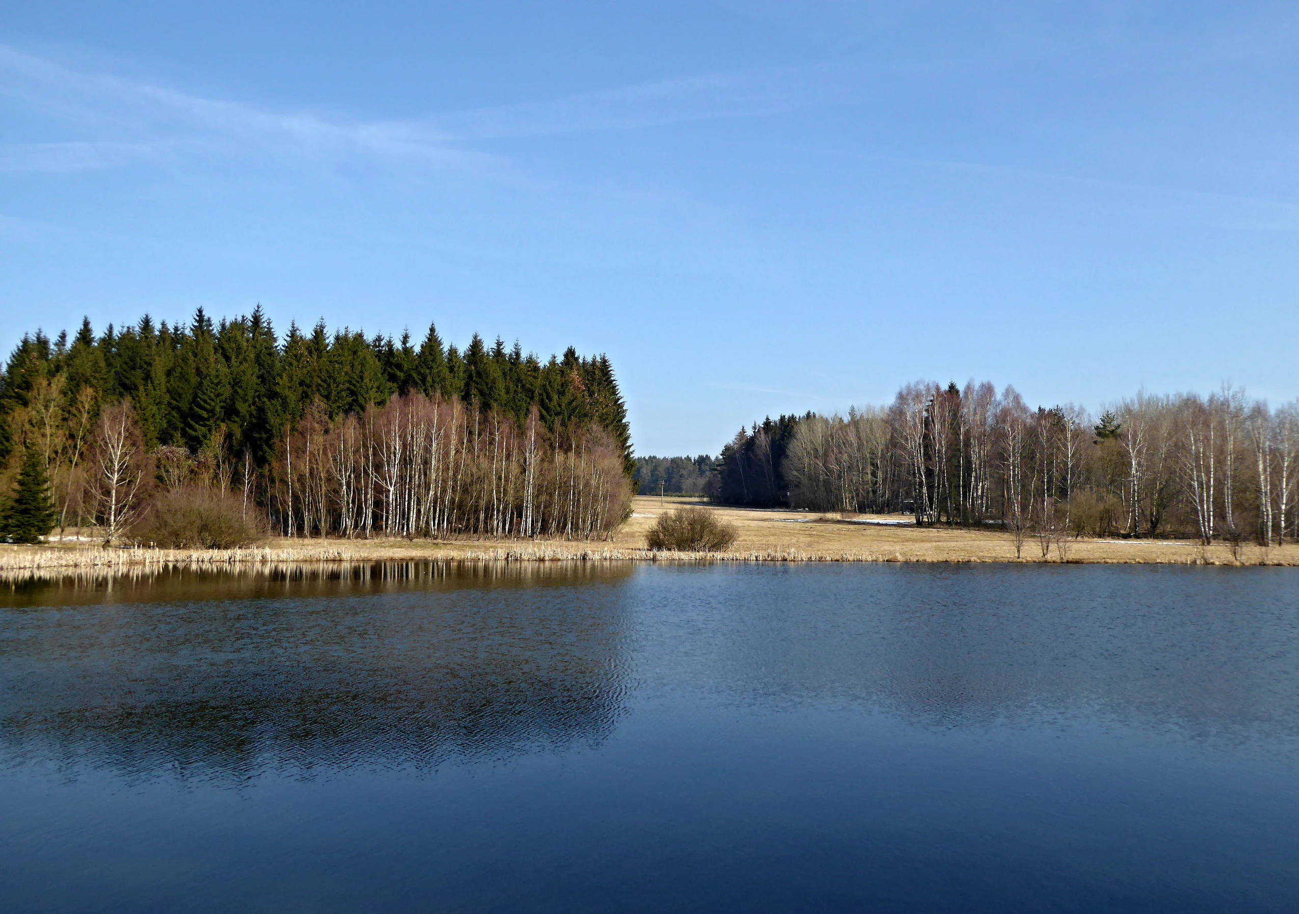 A calm, dark blue pond reflecting the clear sky, surrounded by a transition of deciduous and coniferous trees on a sunny spring day.