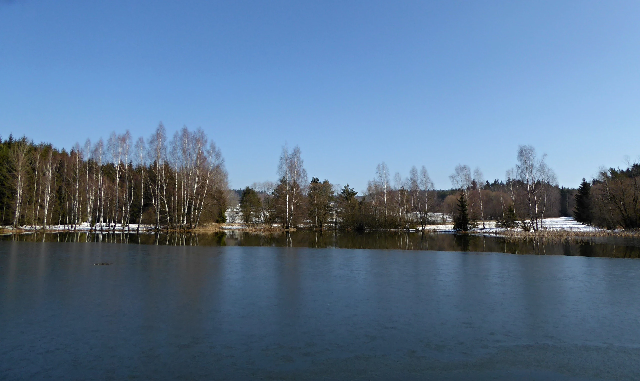 A calm, dark-water pond reflecting a clear blue sky, bordered by a line of bare deciduous trees and coniferous forest with small patches of snow on the banks.