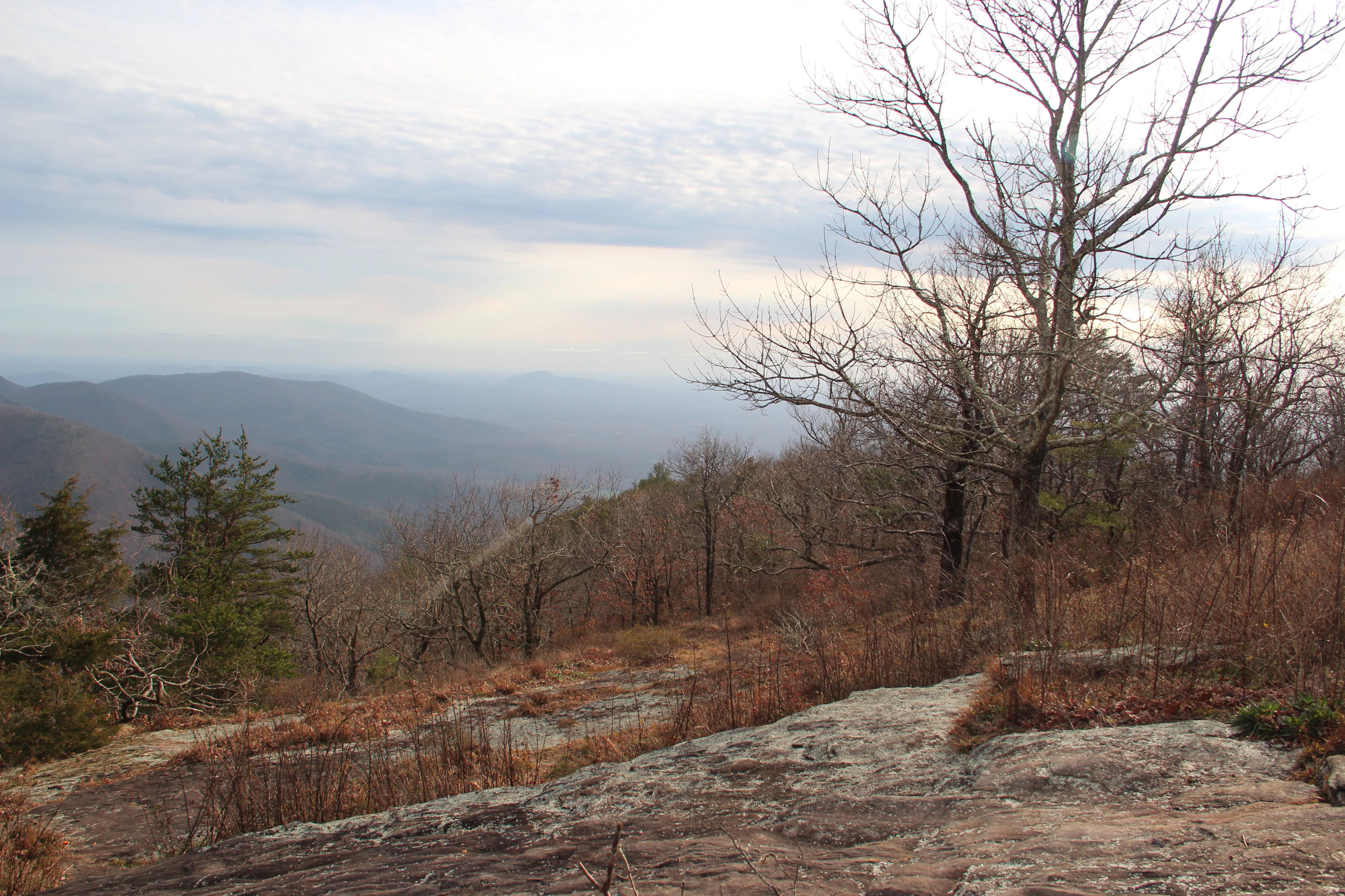 A wide mountain landscape view featuring a rocky foreground and bare trees under a cloudy sky.