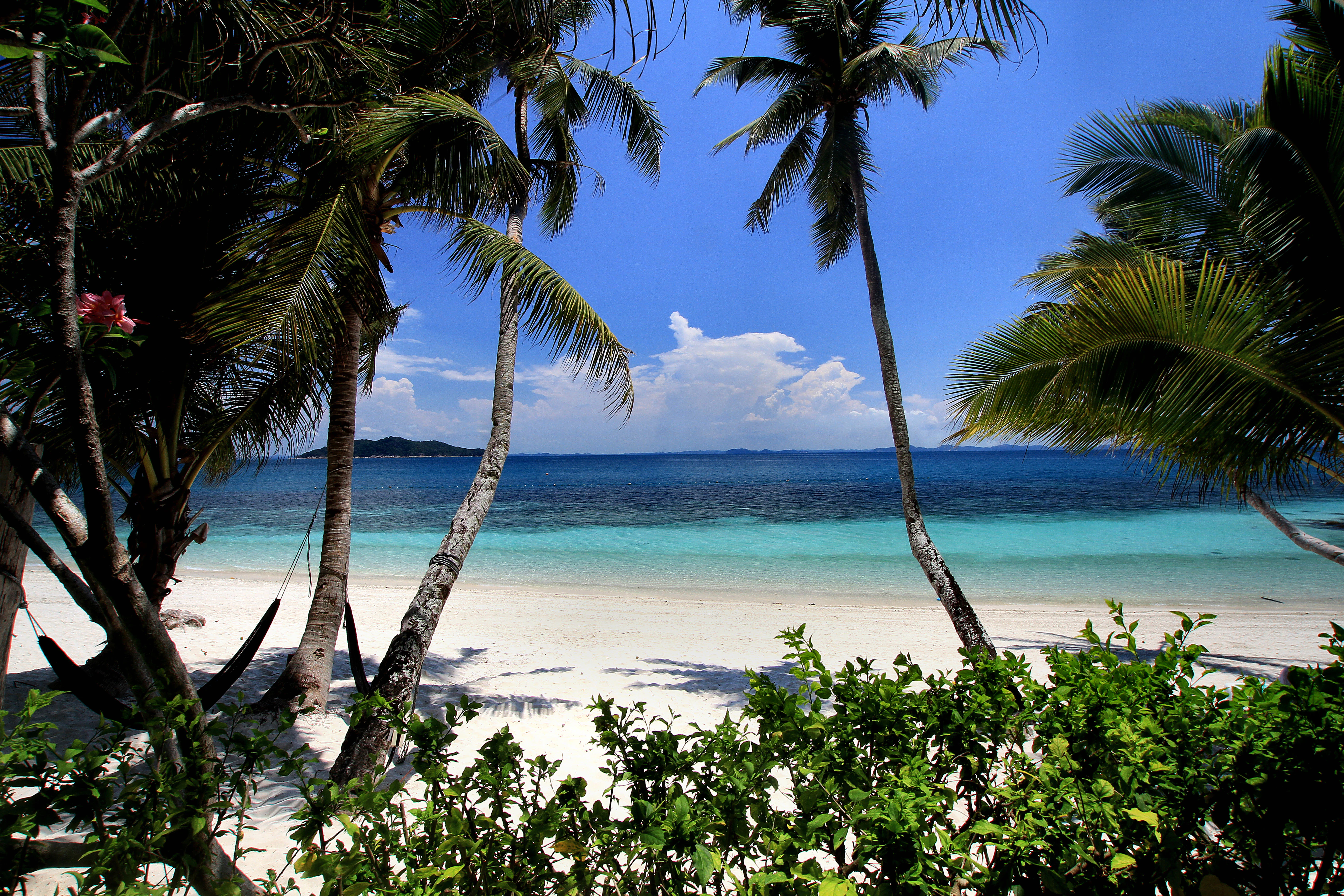 A view of a bright white sand beach and turquoise sea framed by tropical palm trees under a clear blue sky.