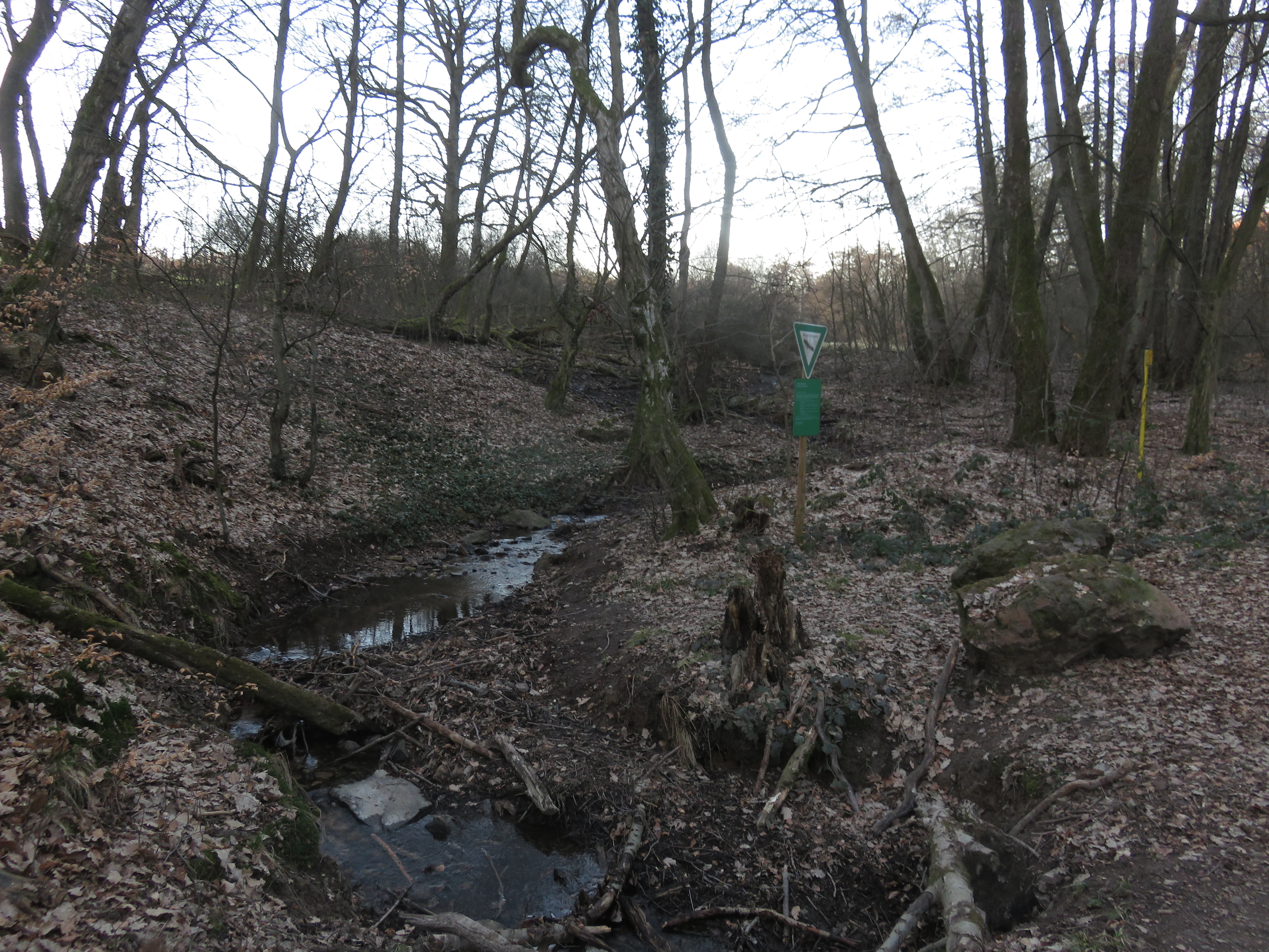 A small, winding stream flows through a deciduous forest with bare trees and a ground covered in leaf litter. A green nature reserve sign stands on a wooden post near the stream bank.