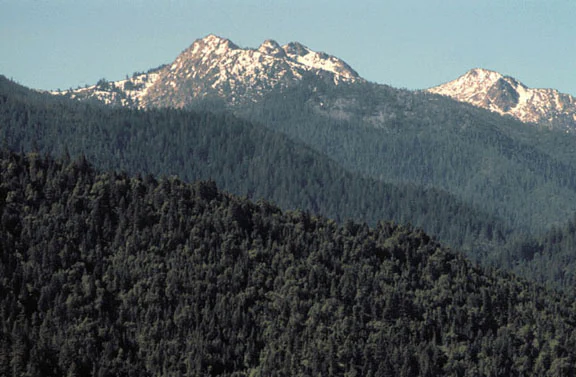 A wide view of jagged mountain peaks with patches of snow, surrounded by extensive evergreen coniferous forests in the Red Buttes Wilderness.