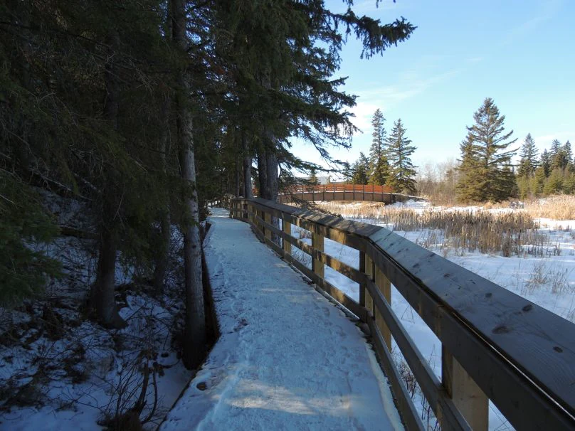 Kerry Wood Nature Centre
