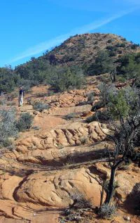 A desert landscape showing a red sandstone hill with rocky terrain, scrubby desert trees, and bushes under a clear blue sky.