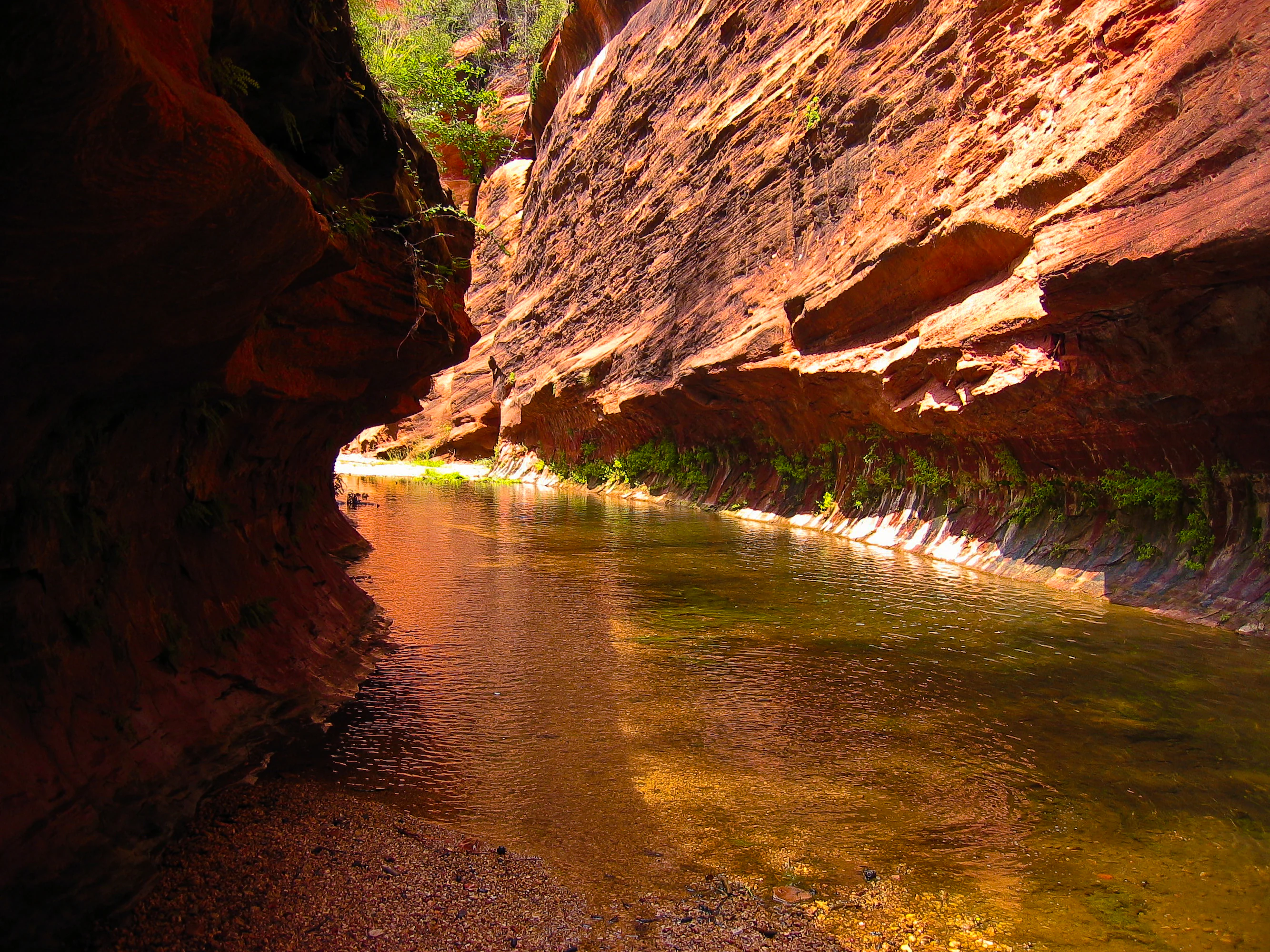 West Fork Trail in Oak Creek Canyon