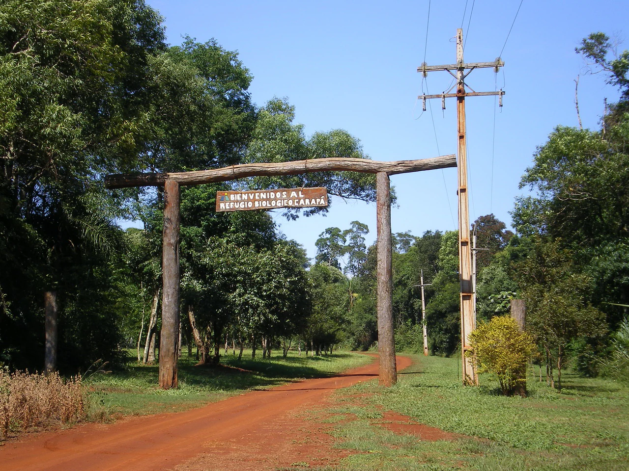 A rustic wooden entrance archway over a red dirt road, with a sign reading Bienvenidos al Refugio Biológico Carapá, surrounded by lush green trees.