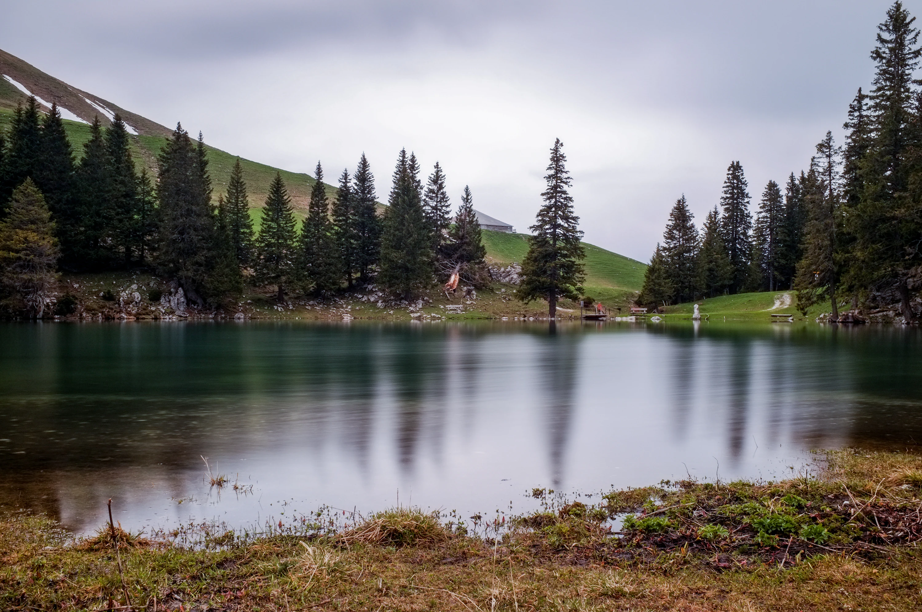 A still mountain lake reflects a line of evergreen trees and a grassy hillside under a cloudy sky.