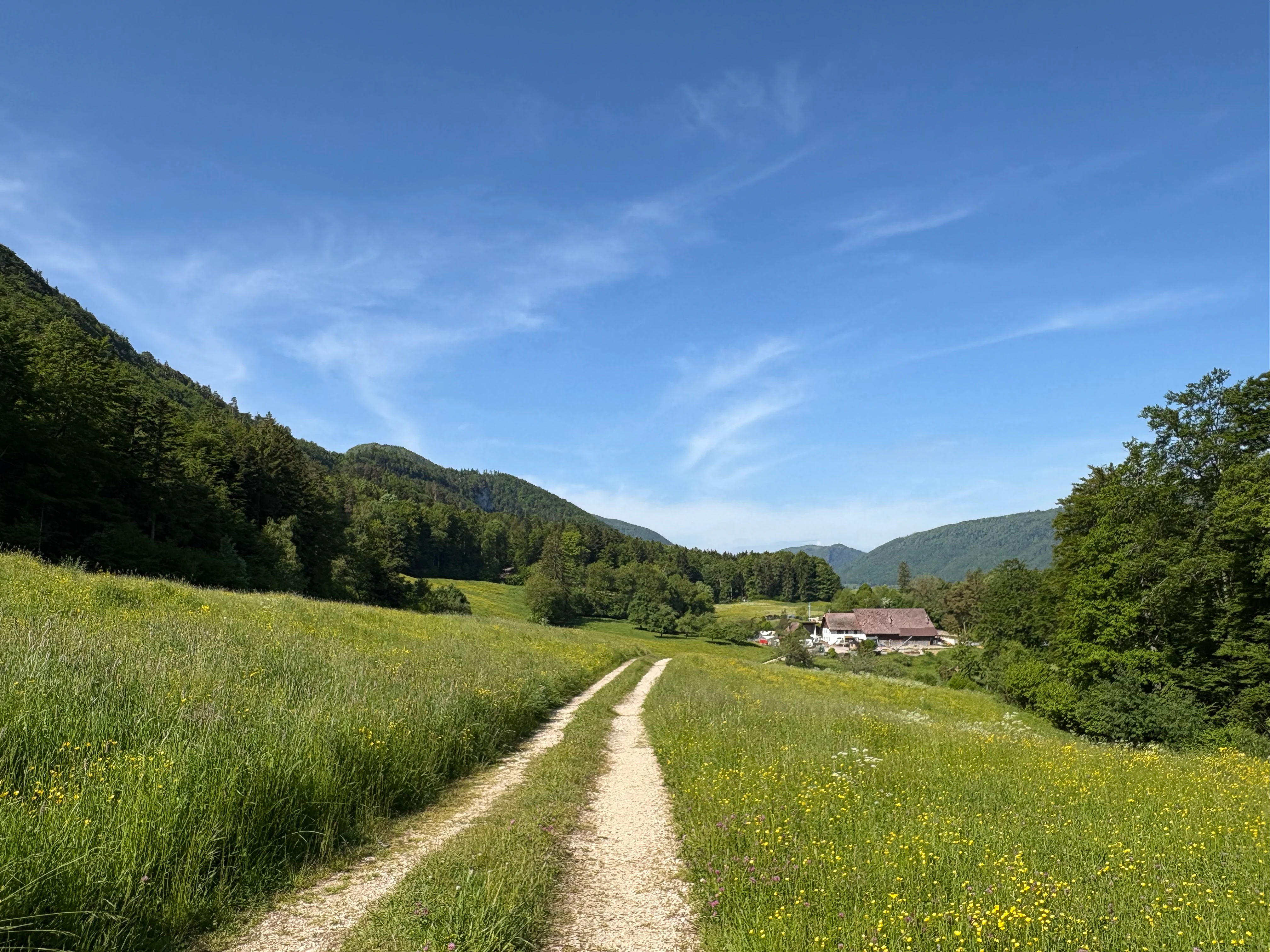 Una pista de tierra serpentea a través de un prado frondoso, verde y florido, conduciendo hacia una casa de campo situada al borde de un bosque en un valle montañoso bajo un cielo azul despejado.