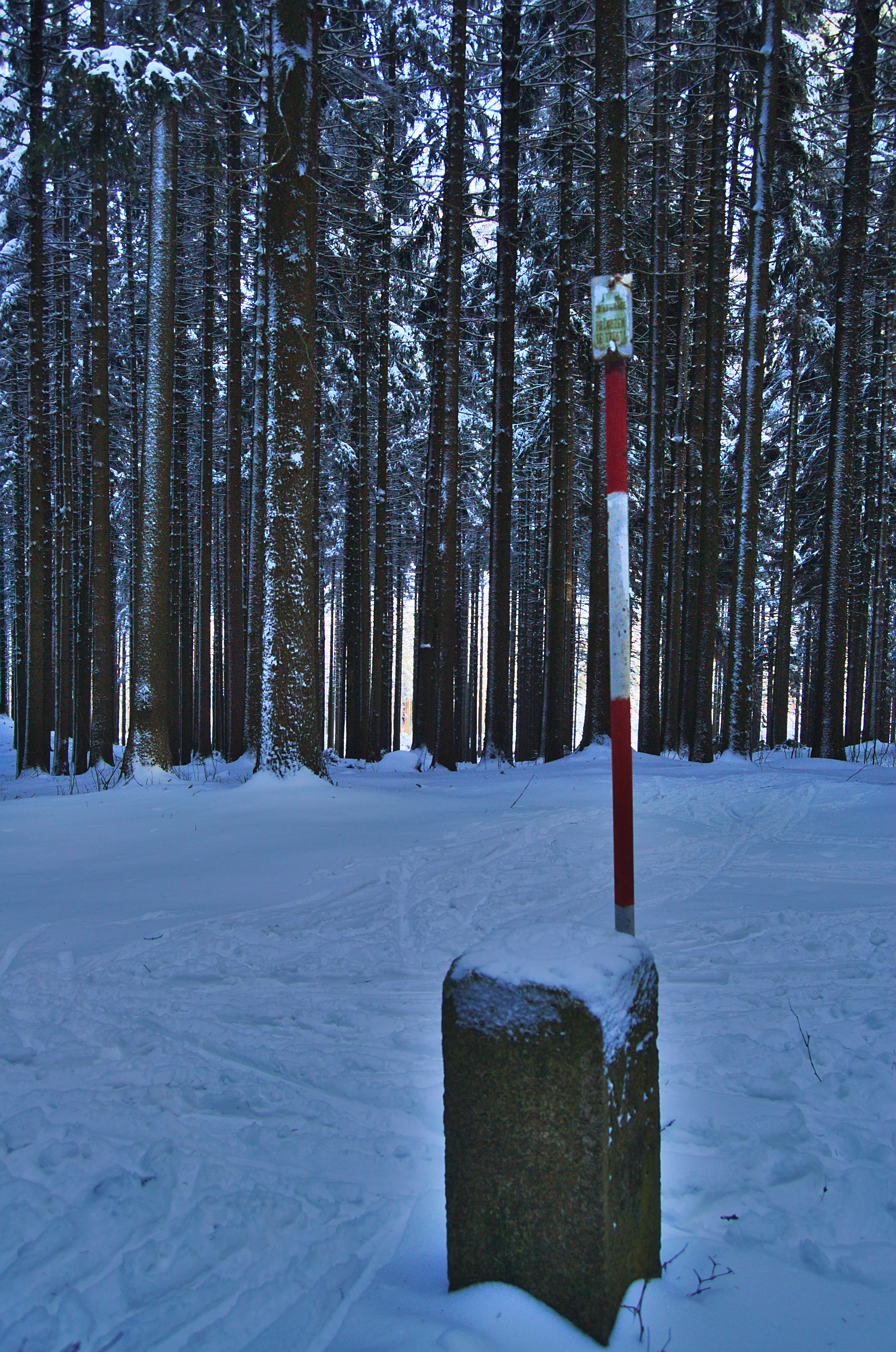 A stone boundary marker stands in a snowy forest, with a red and white striped metal post behind it against a background of dense evergreen trees.