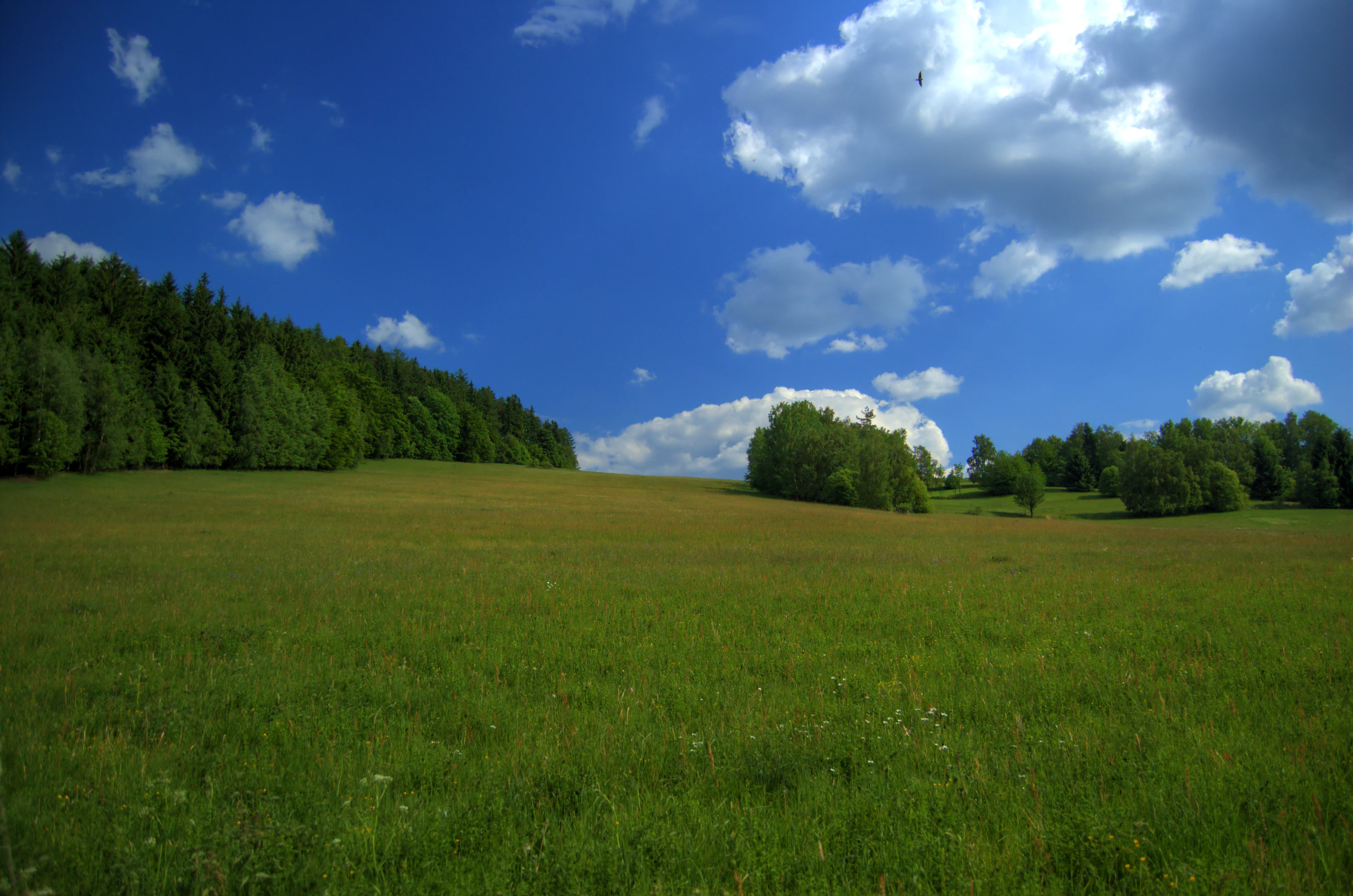 A wide view of a sunlit grassy field leading toward clusters of trees and a distant village under a blue sky with white clouds.