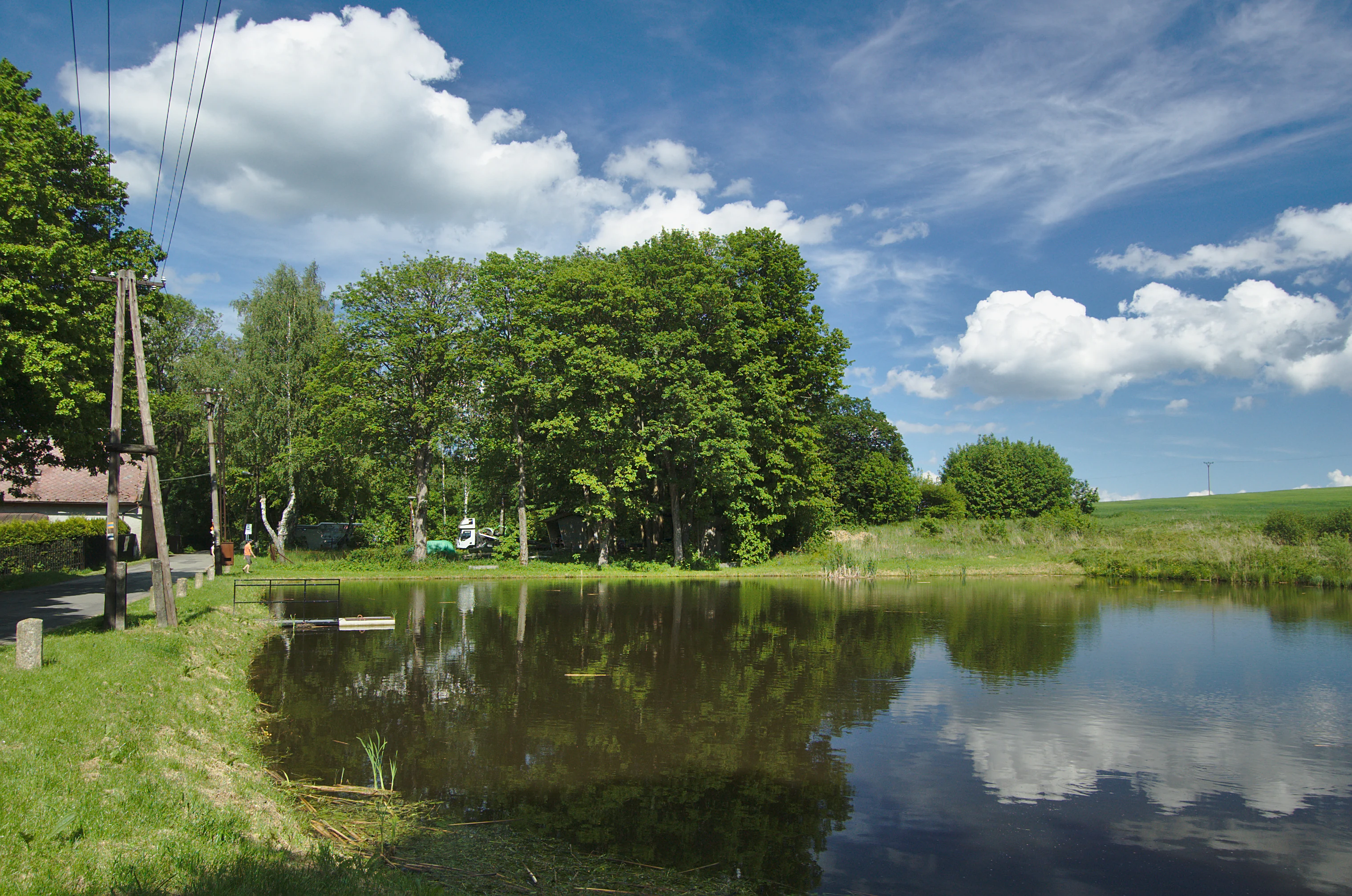 A small, calm pond in a rural setting, bordered by a grassy bank with trees and a utility pole on the left, under a blue sky with scattered clouds.