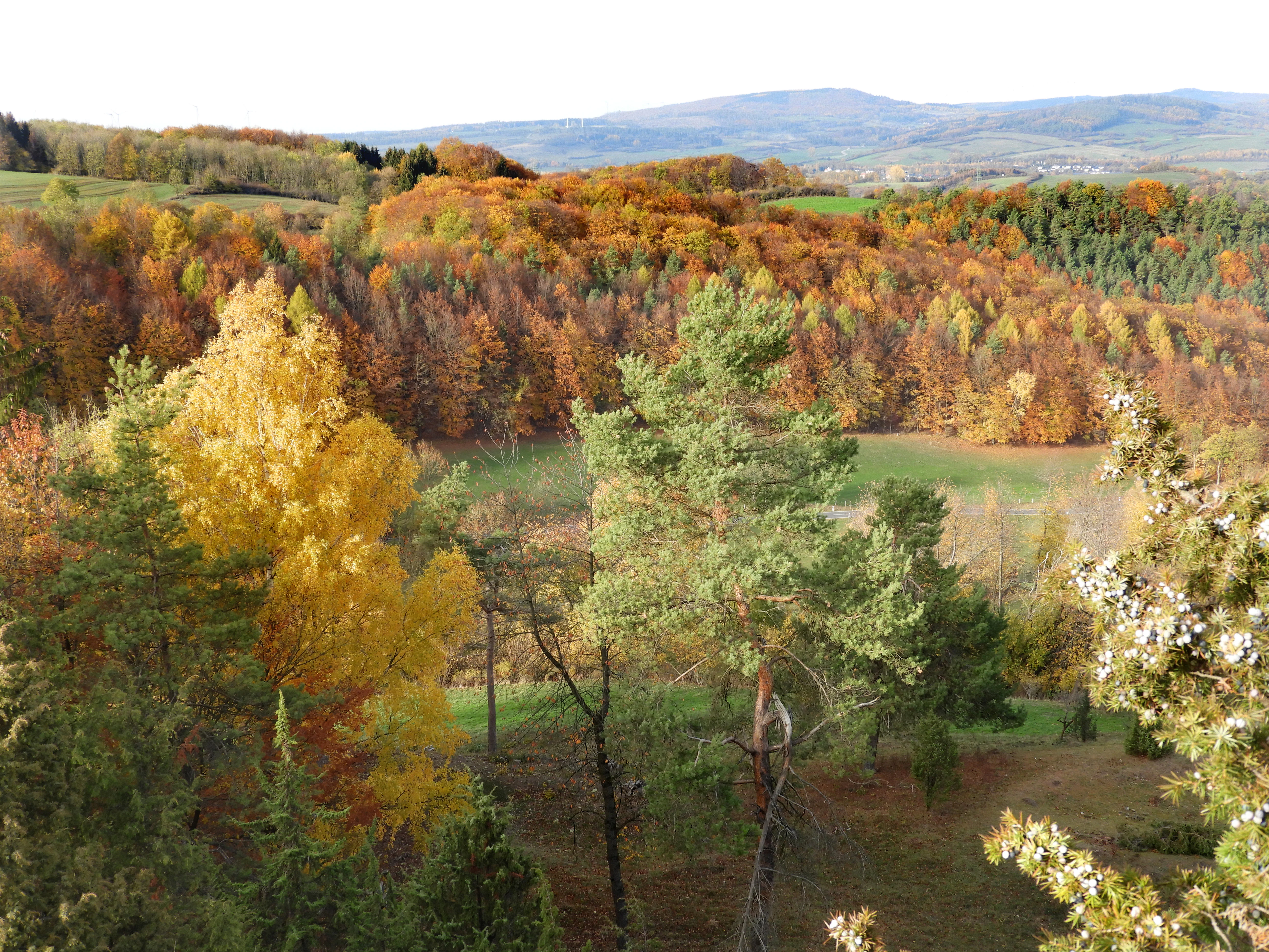 A scenic view of a forested valley in autumn with vibrant yellow, orange, and green trees under a clear sky.
