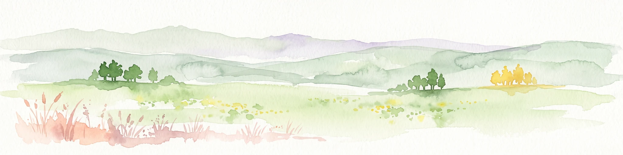Watercolor illustration showing rolling green hills, small clusters of trees, and tall grasses in the foreground against a soft white background.