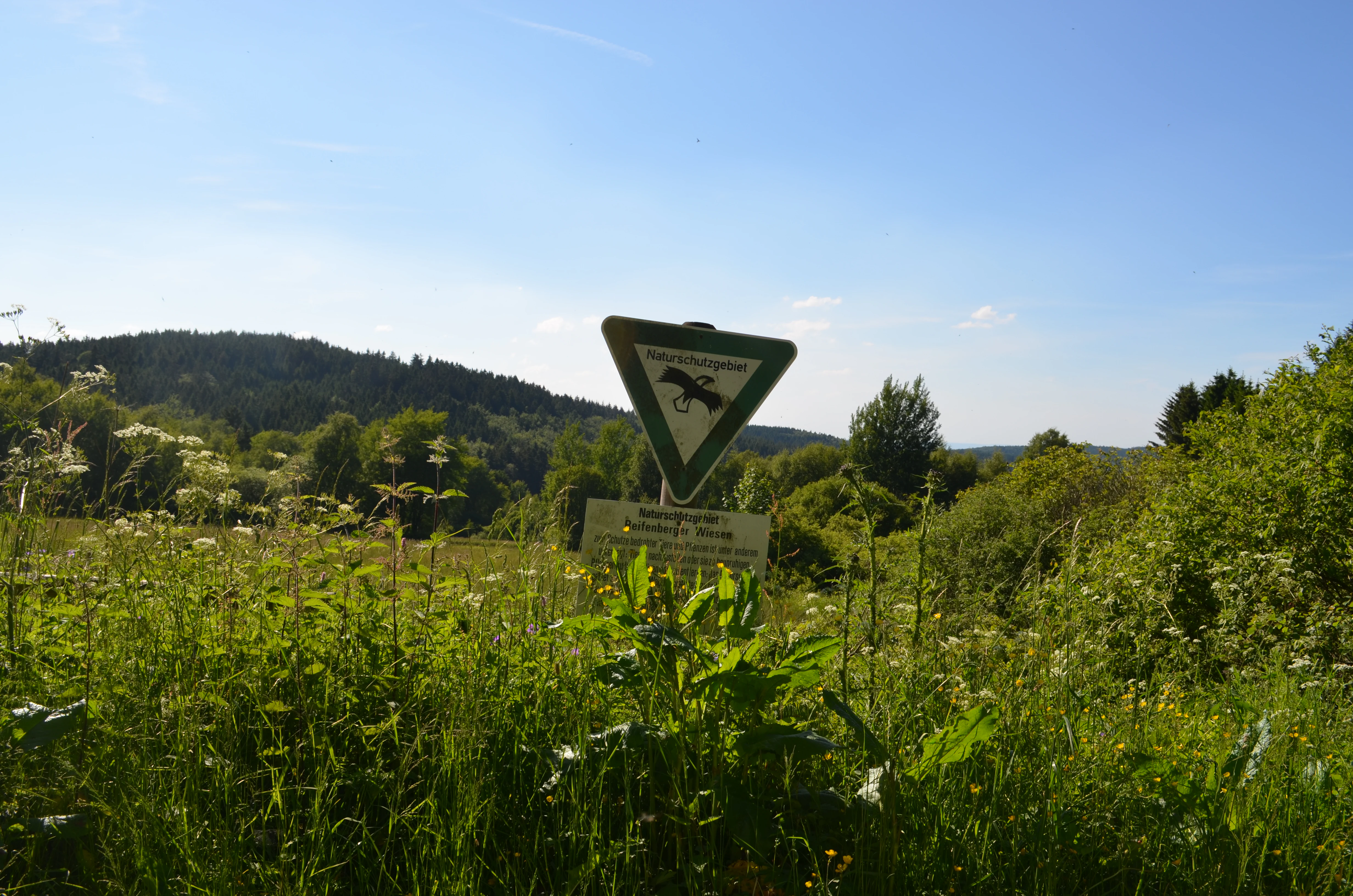 A triangular green and white nature reserve sign on a metal post stands in a lush meadow with a wooded hill in the background.