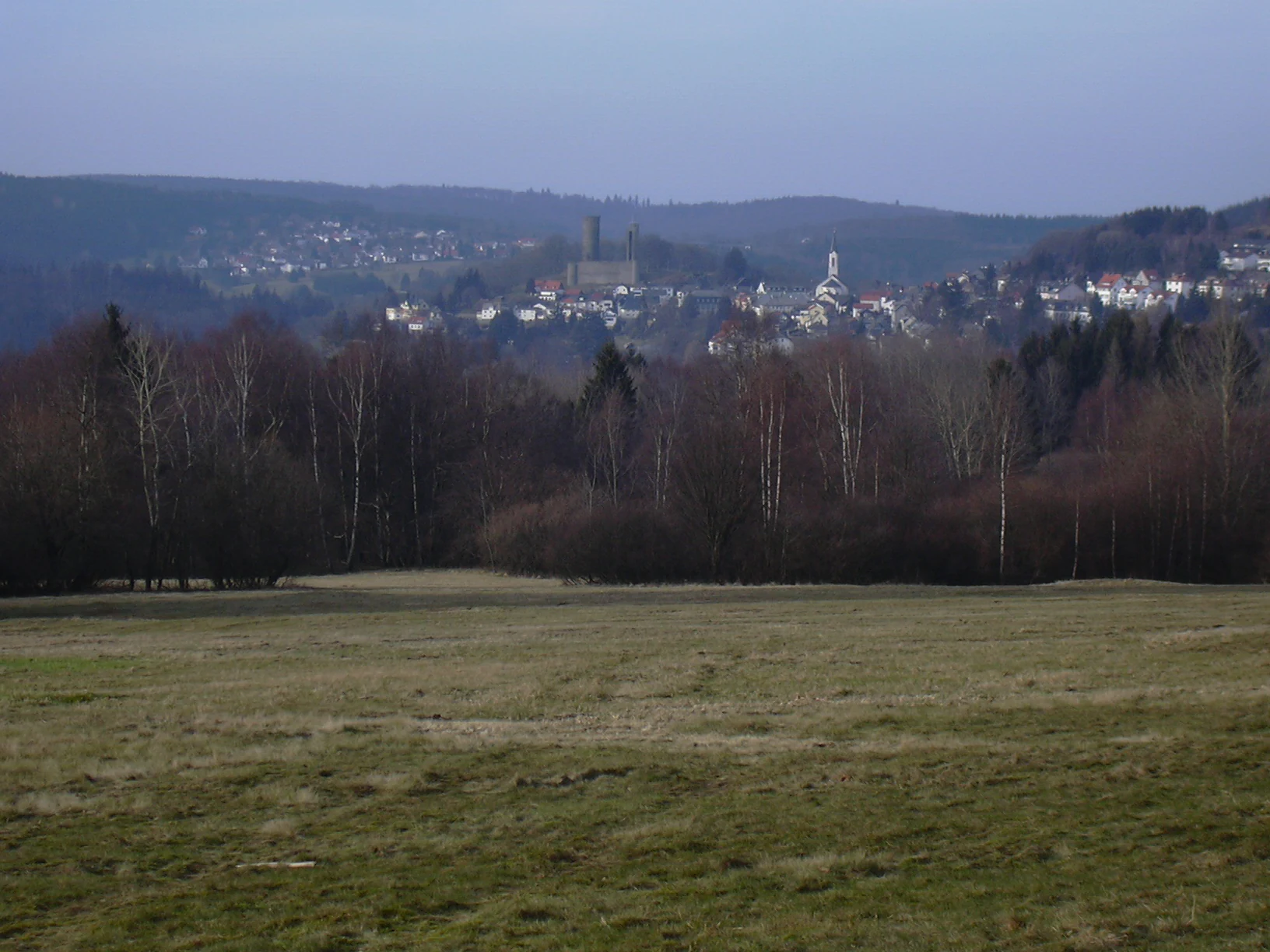 A wide landscape view of a meadow in the foreground with a dense forest line and a village with a castle tower in the background under a pale sky.