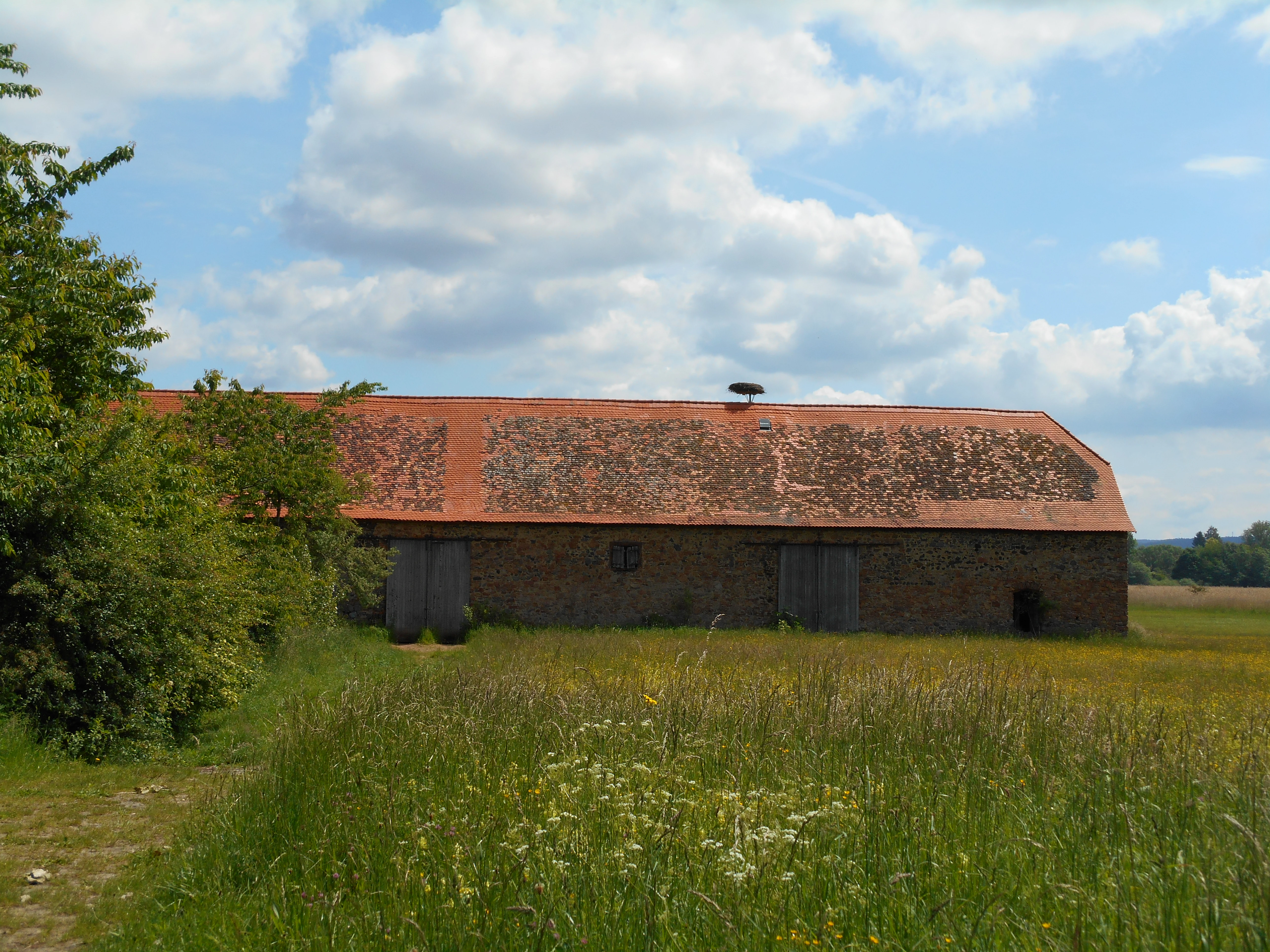A long, single-story brick barn with a red tile roof stands in a field of tall meadow grass under a blue sky with white clouds.
