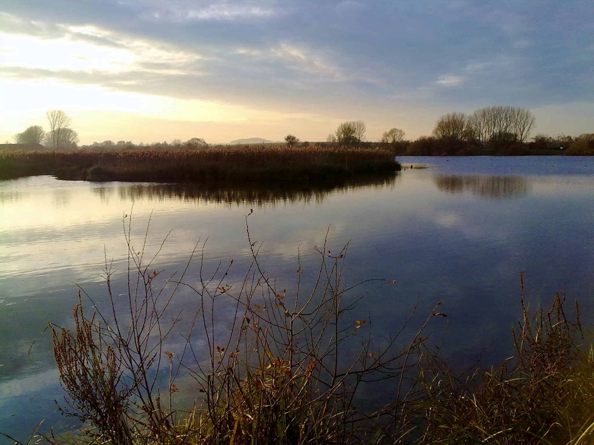 A calm lake reflecting a sunset sky with silhouettes of reeds and distant trees on the horizon.