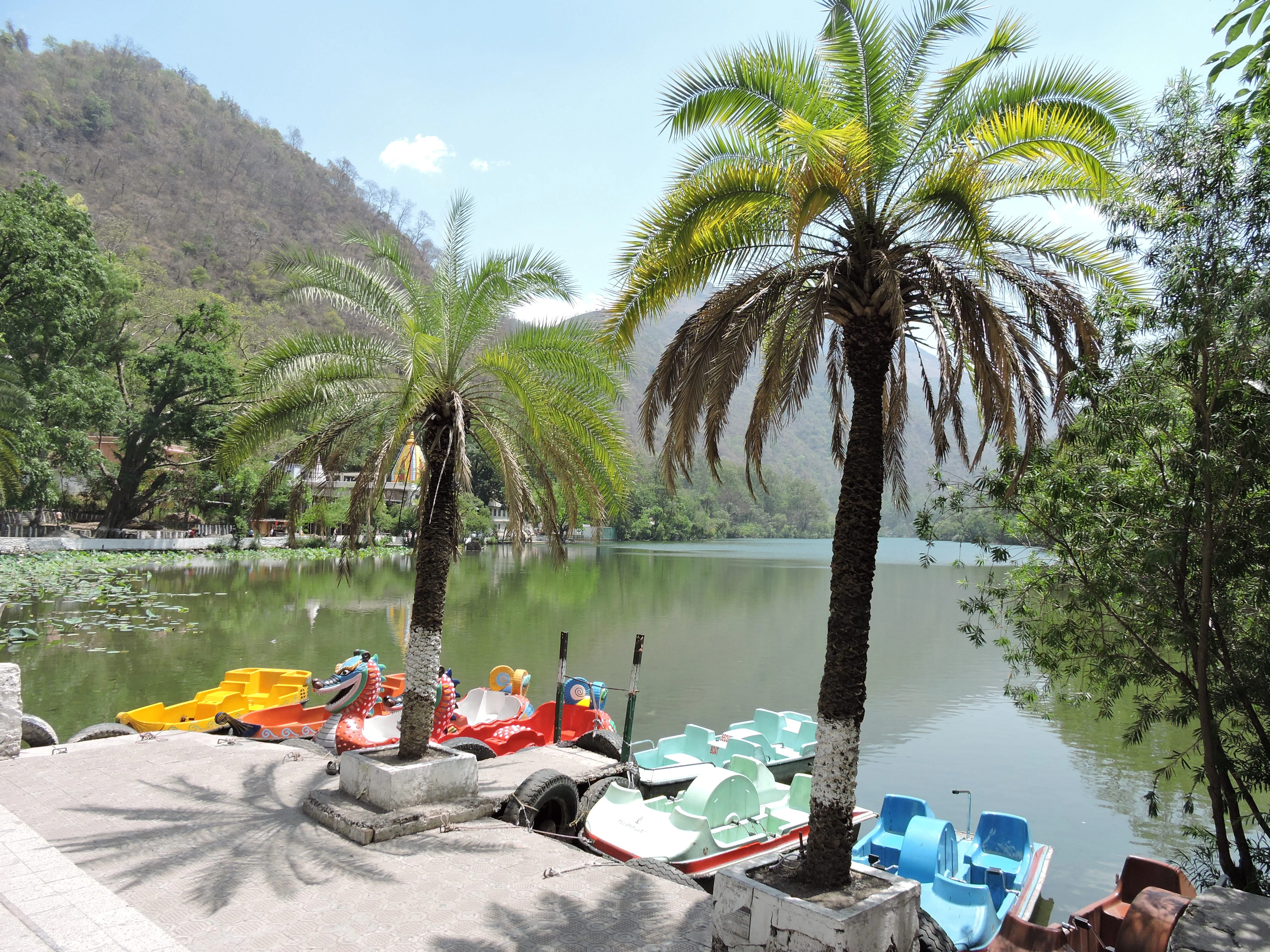 A view of Renuka Lake featuring a shoreline with palm trees and several colorful paddle boats docked at the water edge, with forested hills in the background.