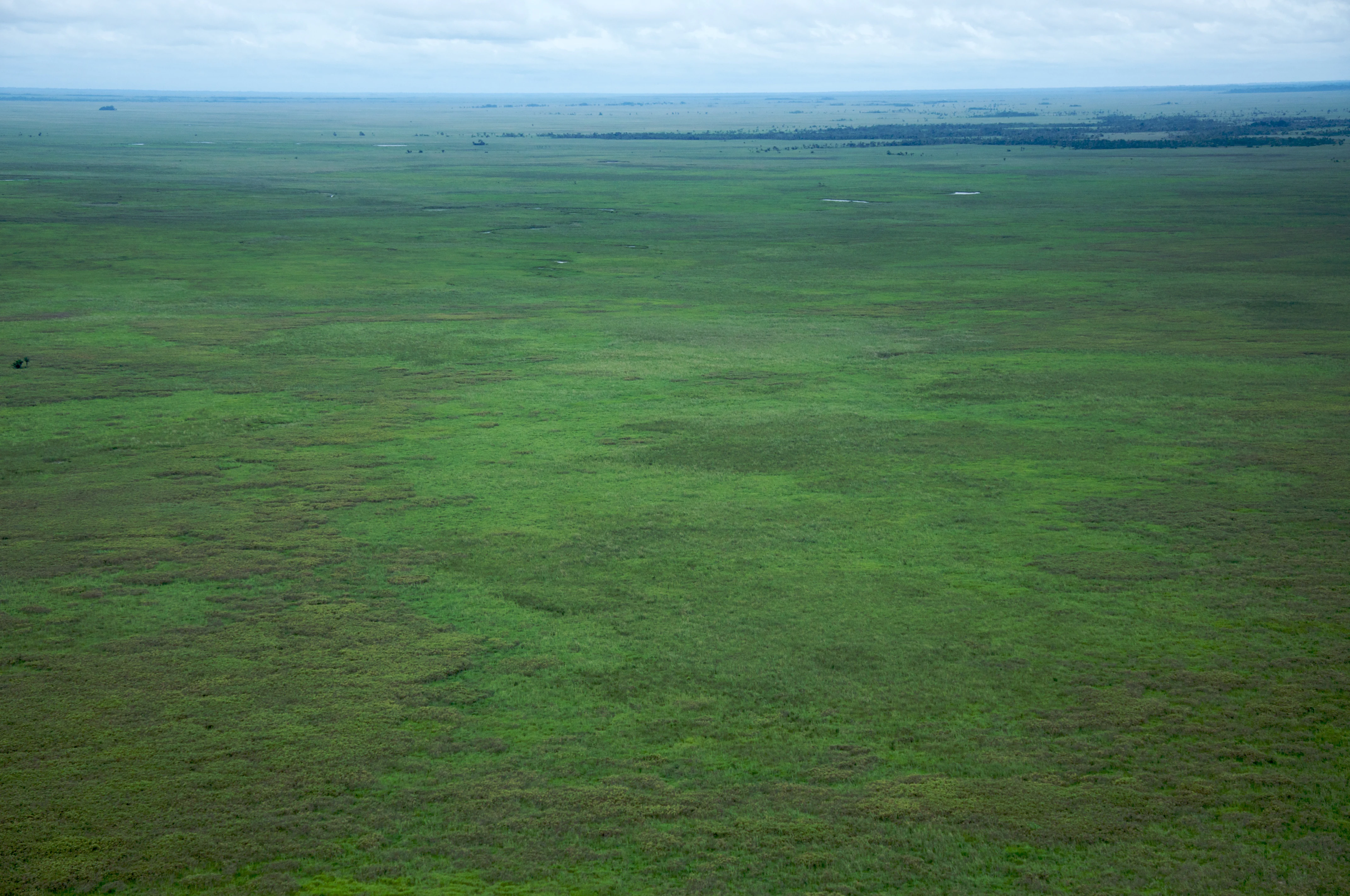 Una extensa sabana verde y plana vista desde una perspectiva aérea bajo un cielo nublado.