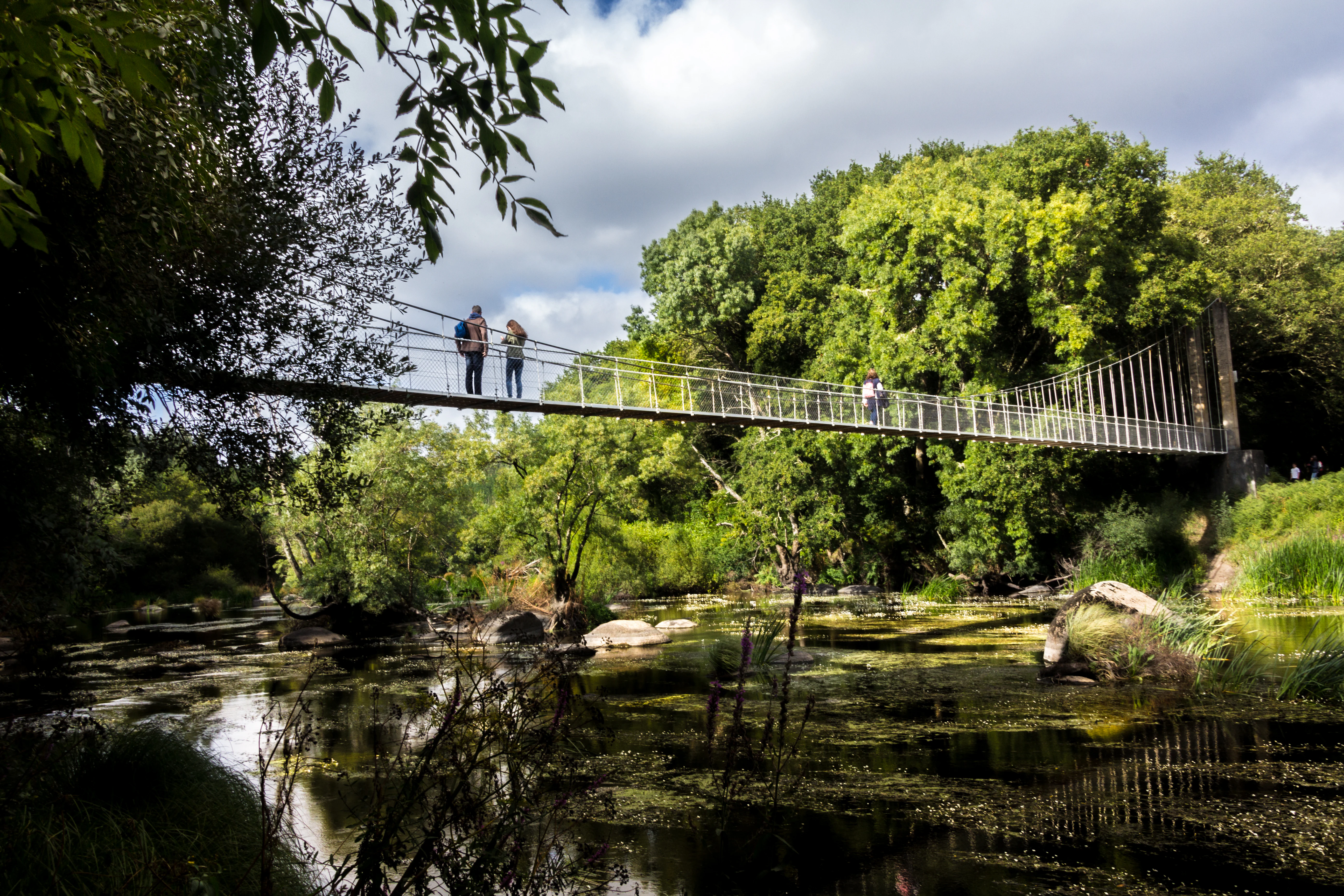 A metal suspension bridge crosses a slow-moving river surrounded by dense green trees and vegetation.