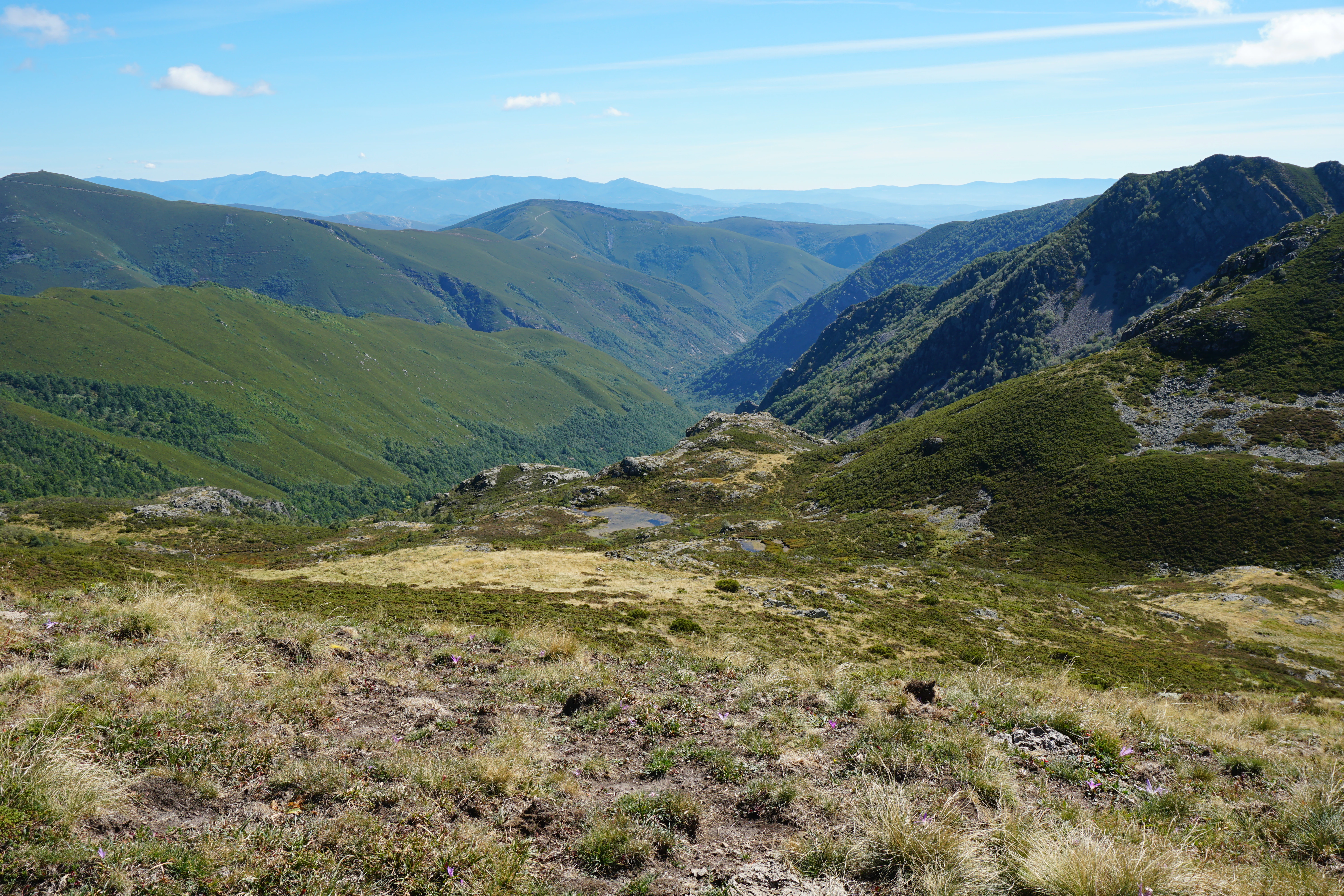 Una vista amplia y en picado hacia un valle montañoso profundo, con colinas verdes y boscosas en pendiente bajo un cielo azul despejado.