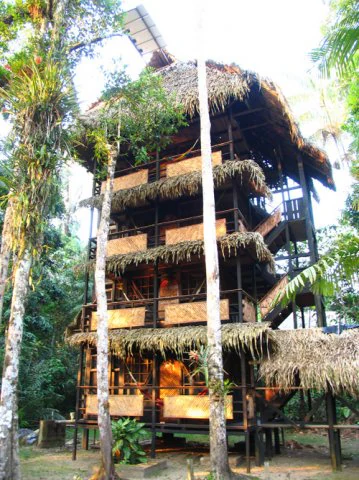 Un alto edificio de ecolodge de madera con varios niveles, techos de paja y balcones, rodeado de denso bosque tropical.