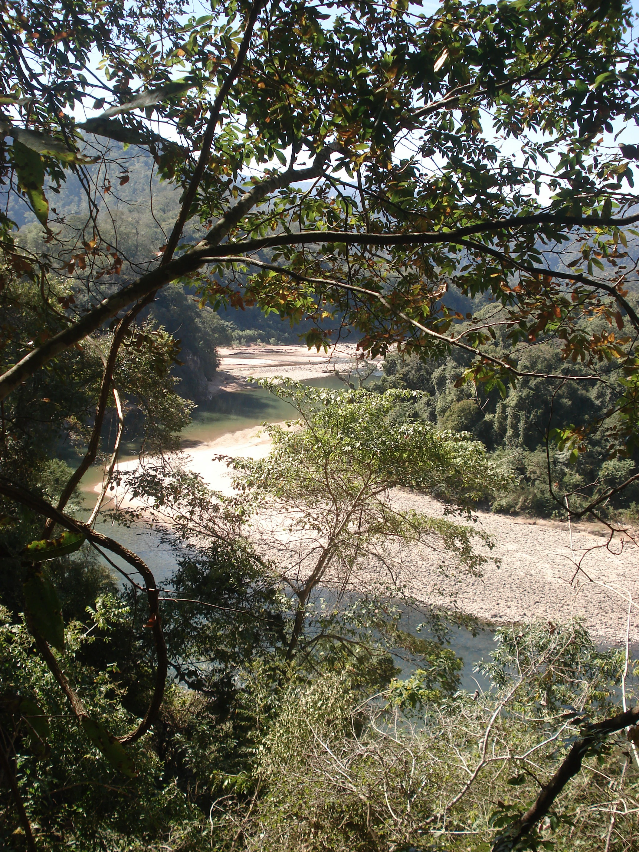 A high angle shot looking down through tree branches onto a wide river with exposed gravel banks, surrounded by dense green forest.