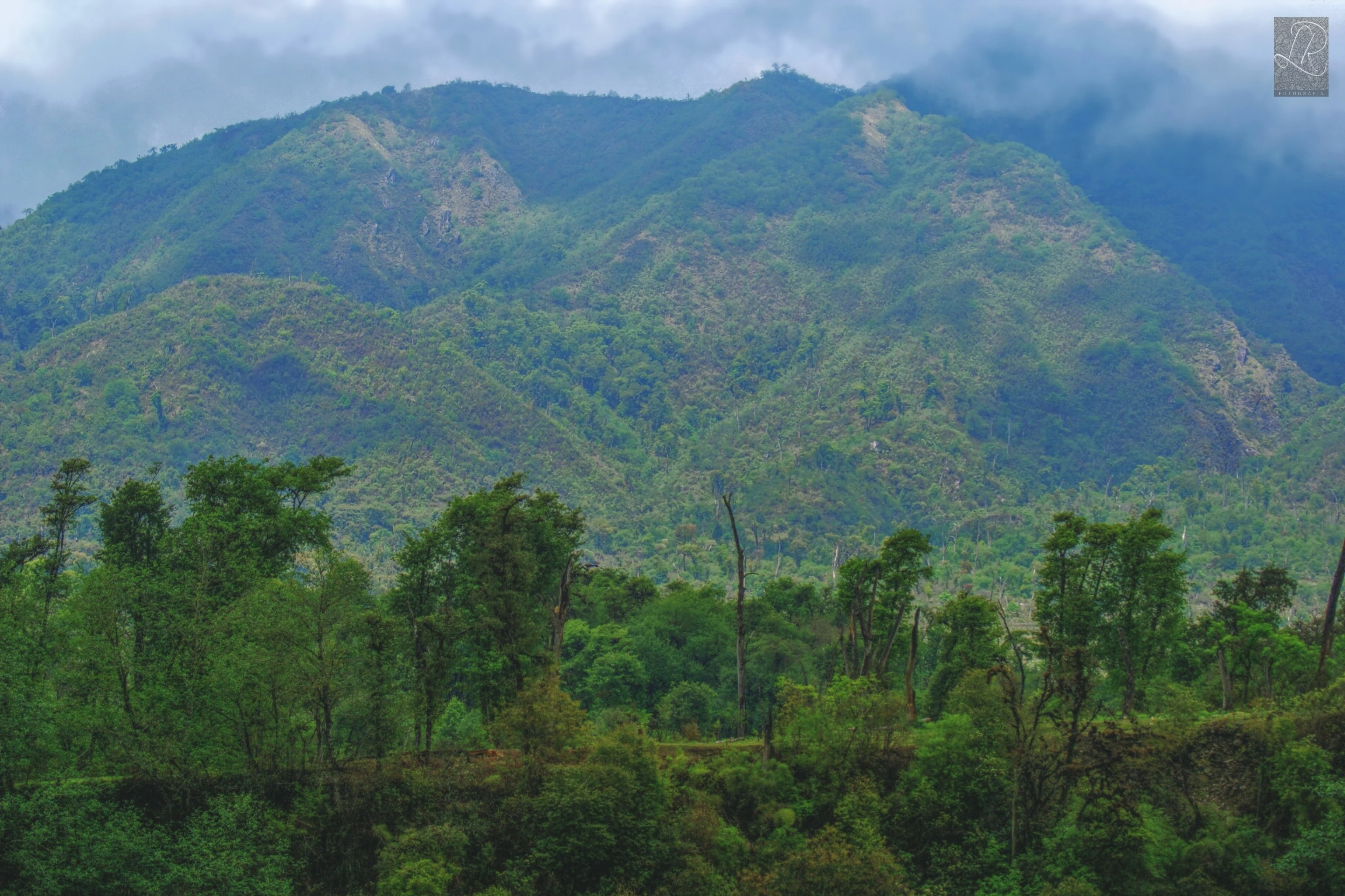 A wide shot of a green mountain range with forested slopes under an overcast sky.