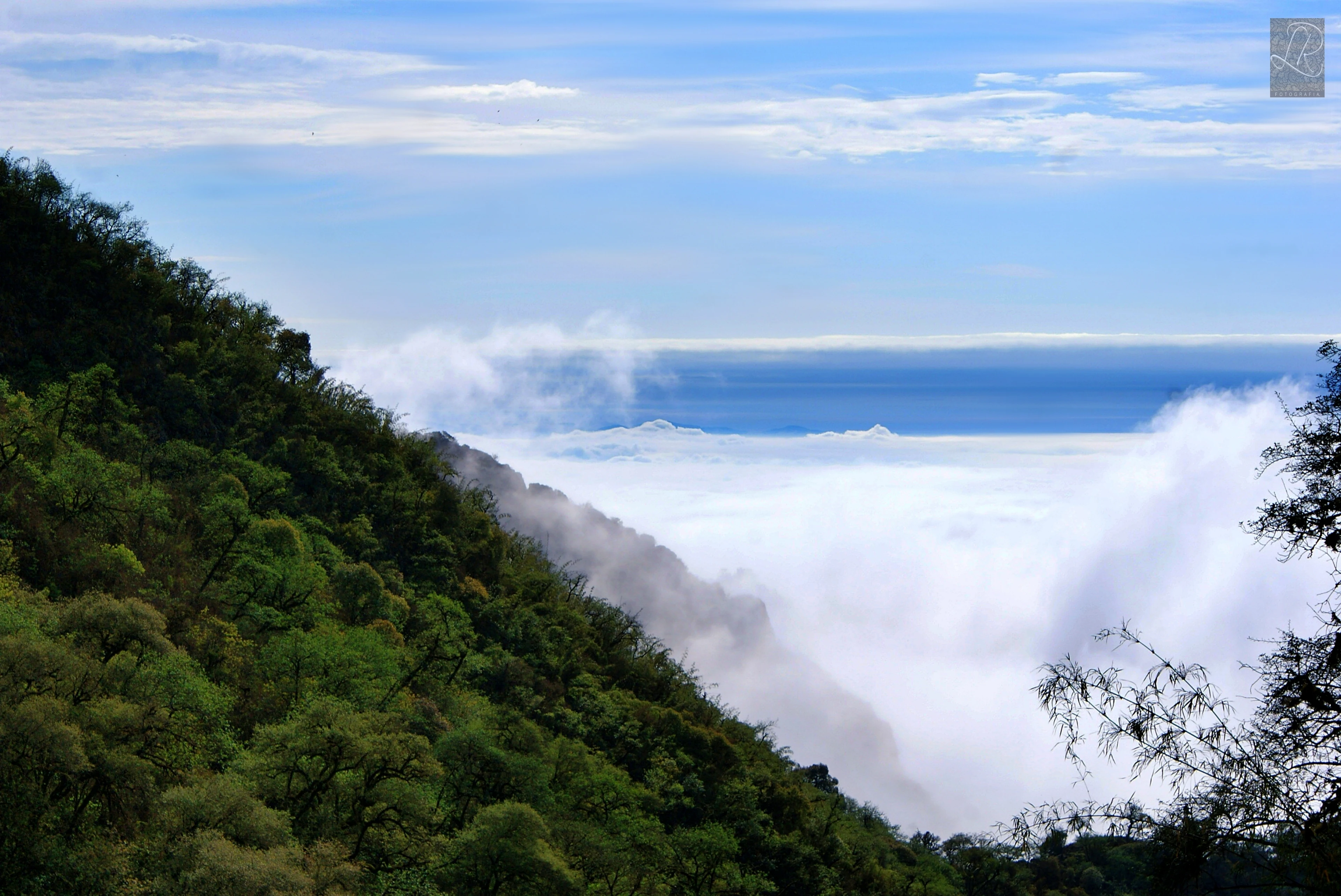 A steep, forested mountain slope rising from a thick layer of clouds that obscures the valley below.